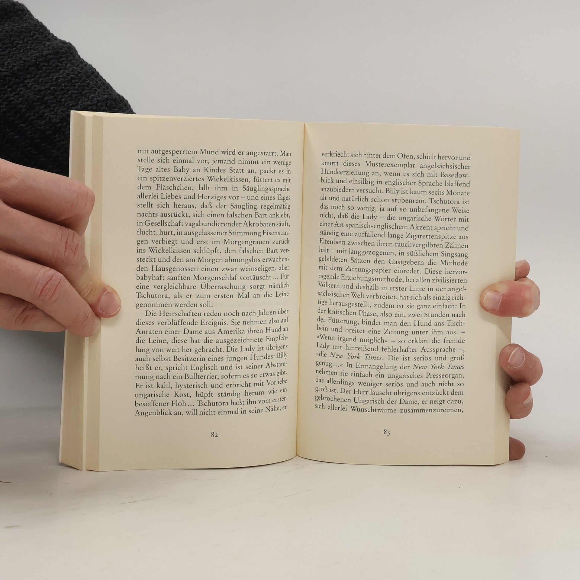Sándor Márai Das Vermächtnis der Eszter