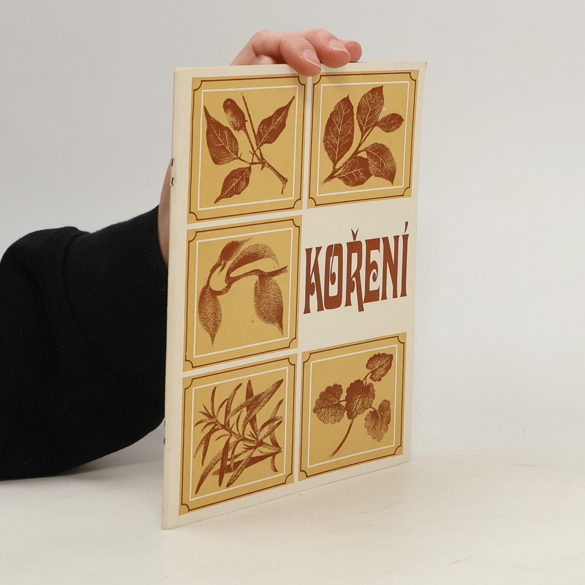 Kolektiv autorů Koření