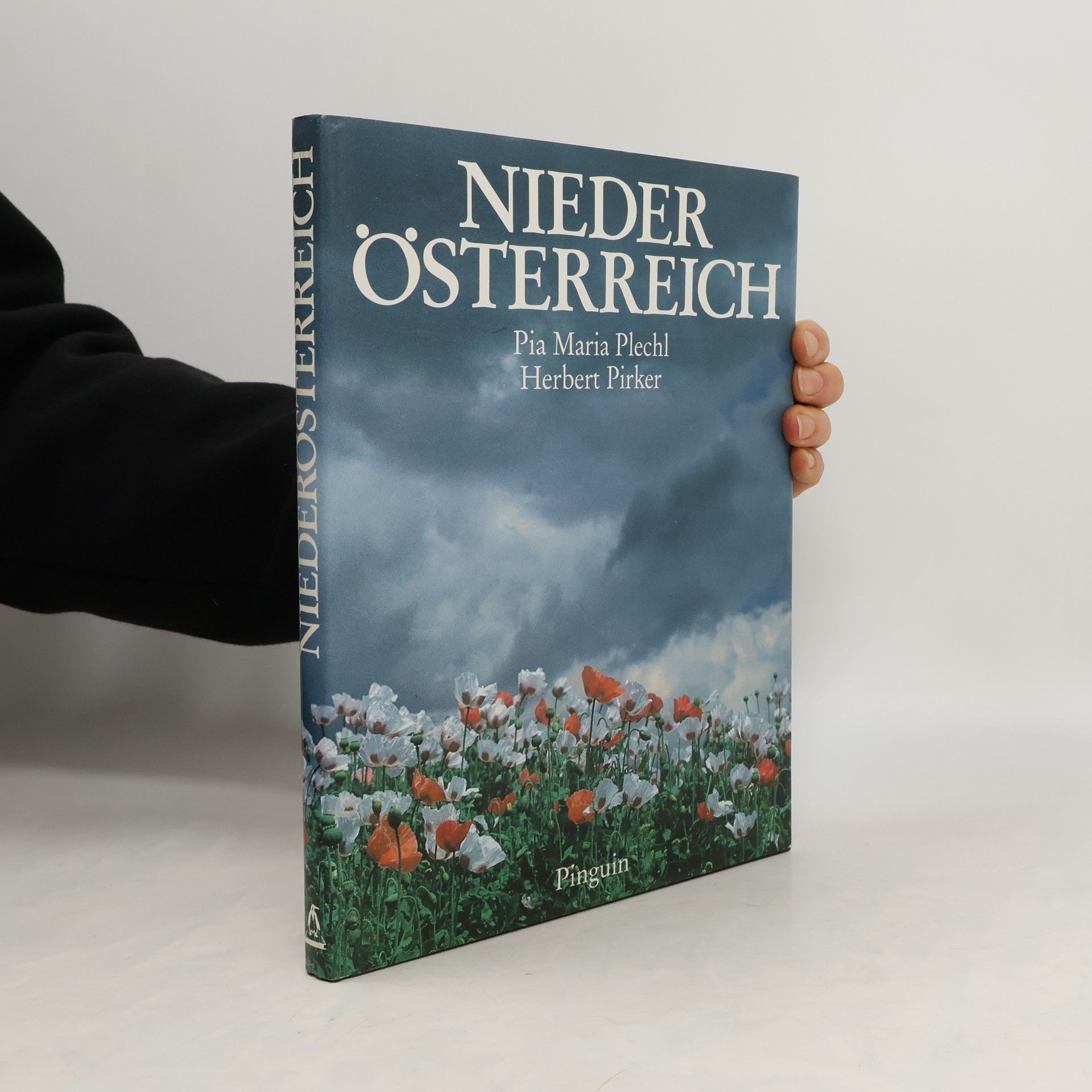 Pia Maria Plechl Niederösterreich