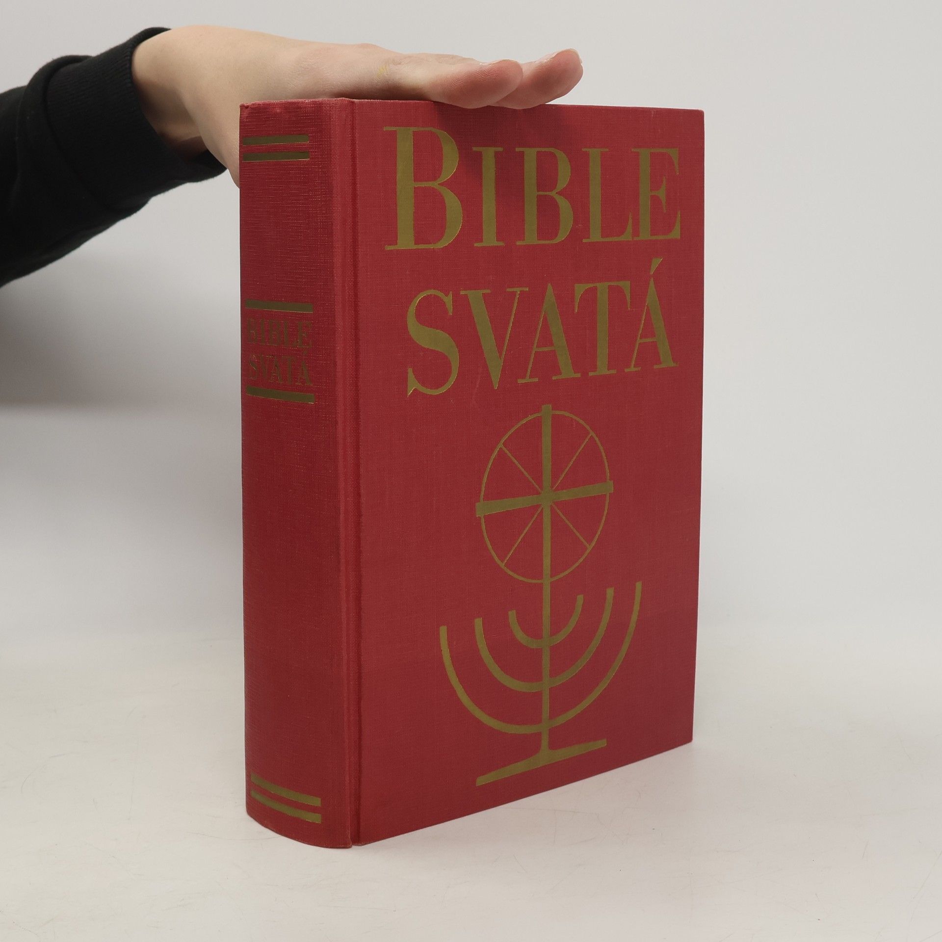 Collectif d'auteurs Bible svatá aneb Všecka Svatá písma Starého i Nového zákona