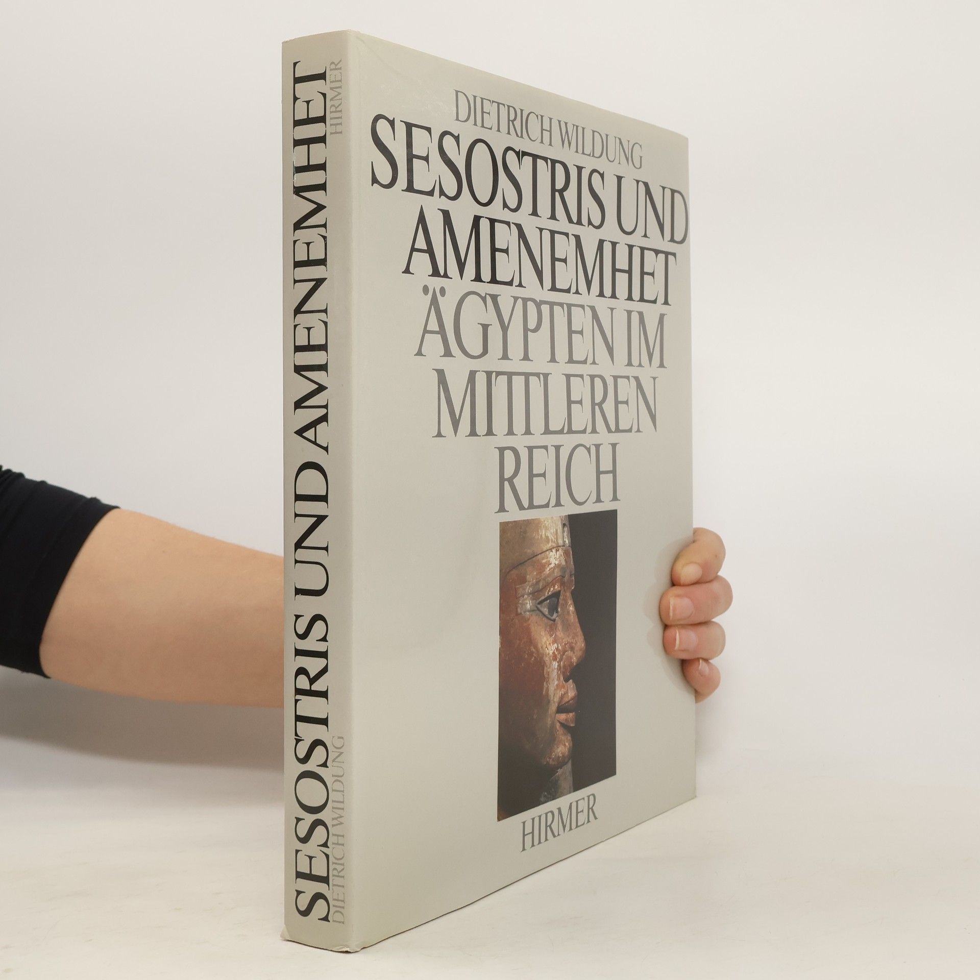 Dietrich Wildung Sesostris und Amenemhet