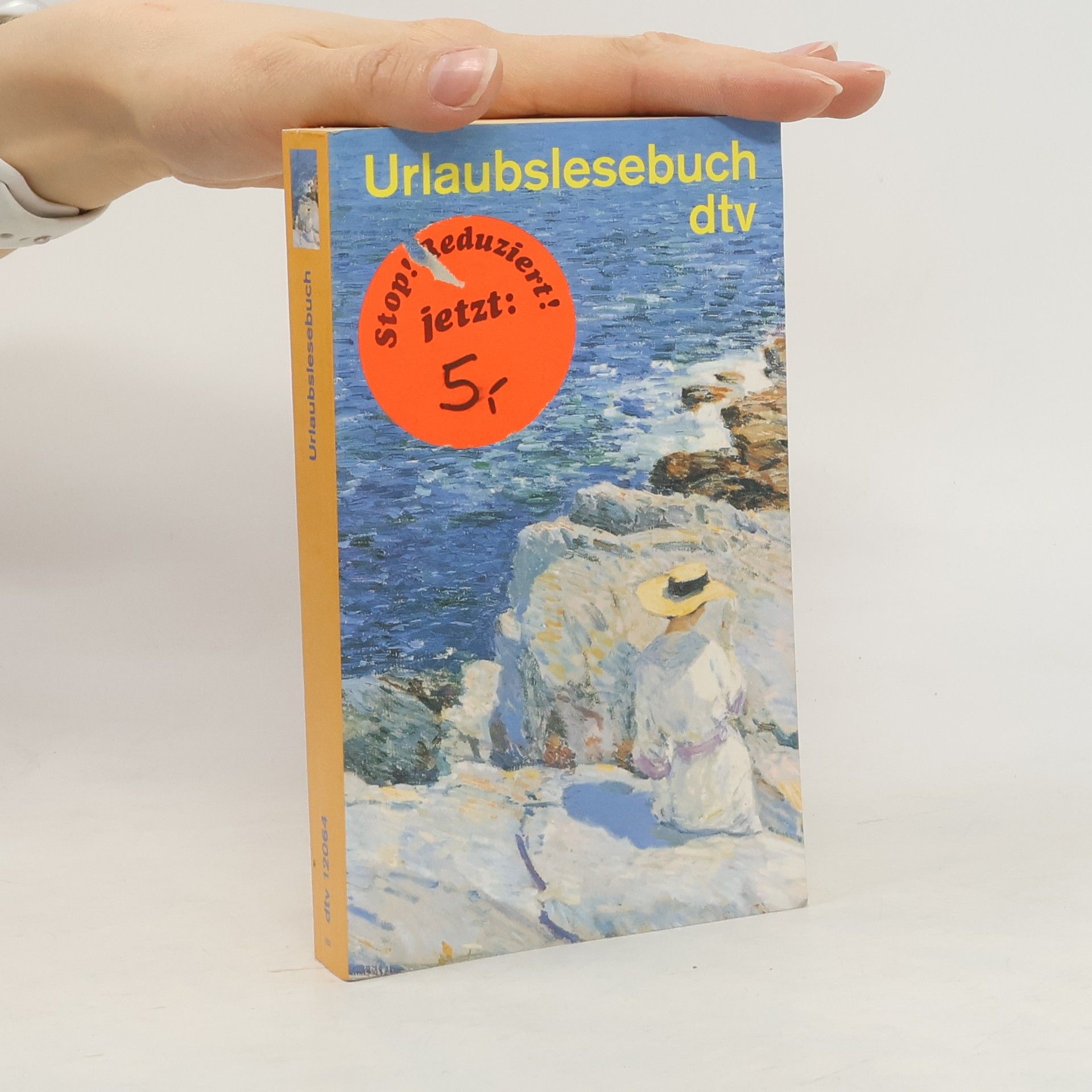 Woody Allen Urlaubslesebuch dtv