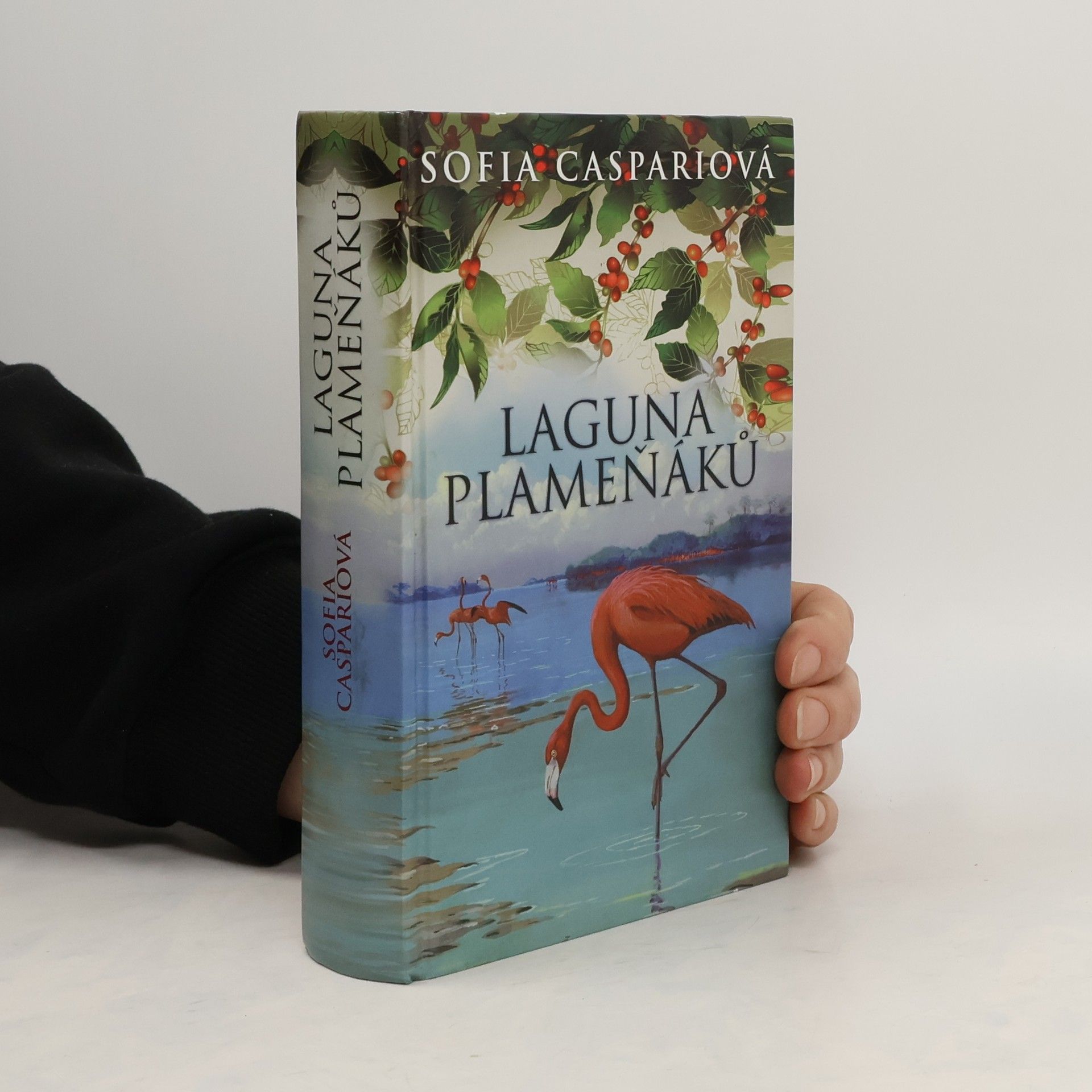 Sofia Caspari Laguna plameňáků