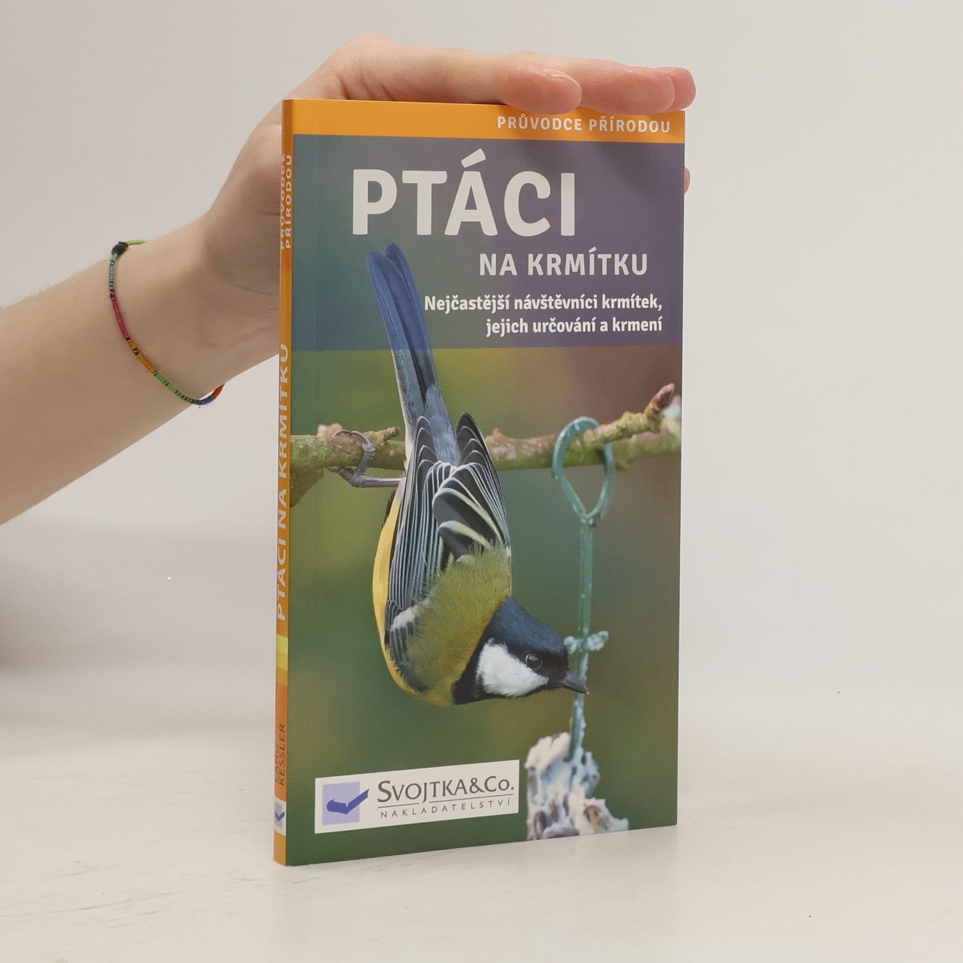 Angelika Lang Ptáci na krmítku