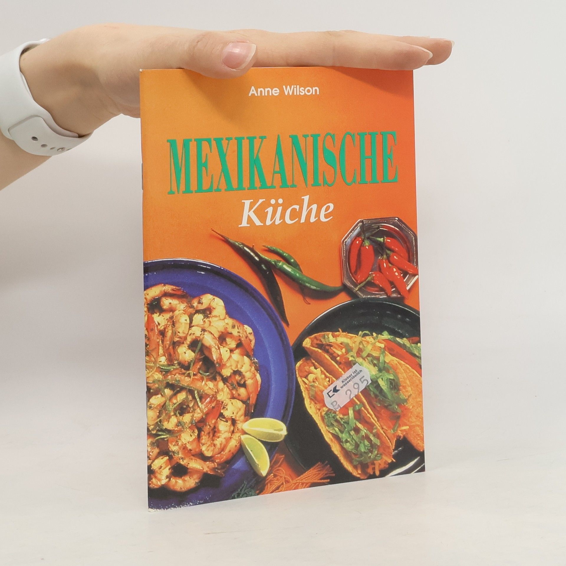 Anne Wilson Mexikanische Küche