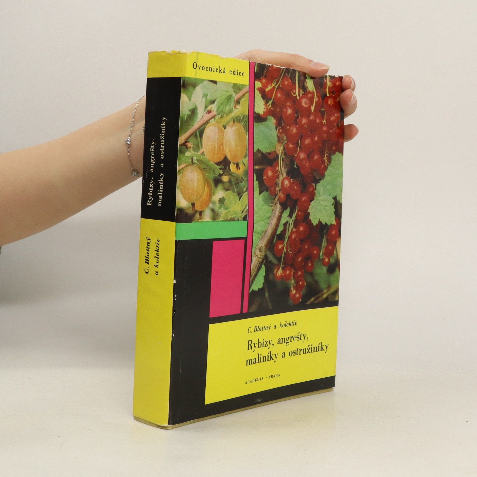 Kolektiv autorů Rybízy, angrešty, maliníky a ostružiníky