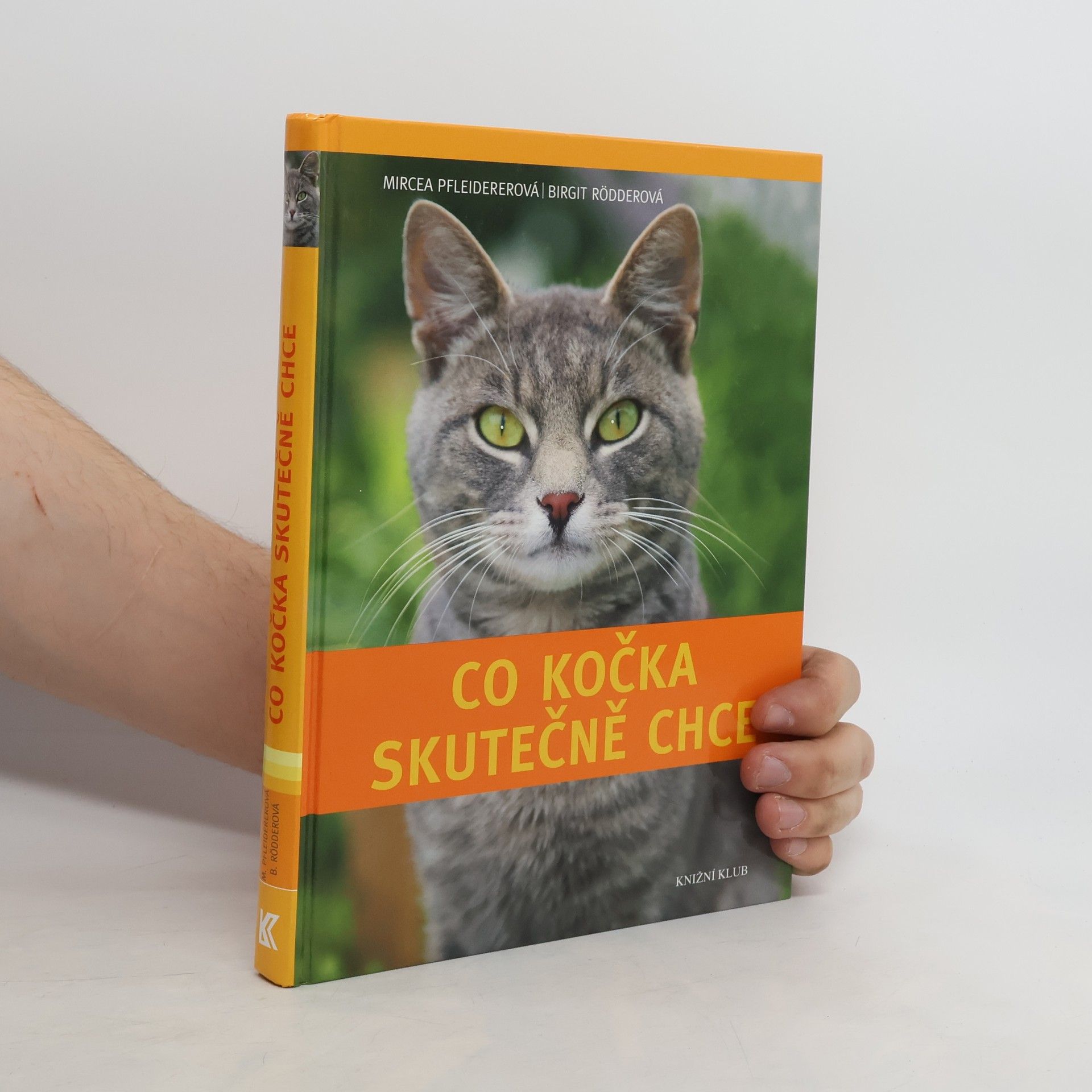 Mircea Pfleiderer-Gruber Co kočka skutečně chce