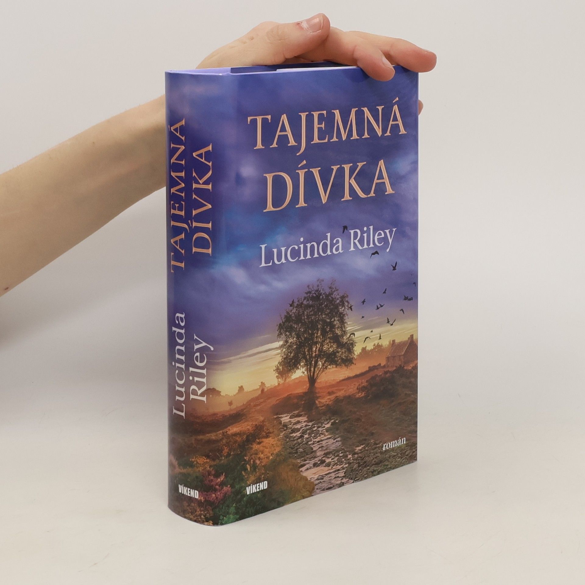 Lucinda Riley Tajemná dívka