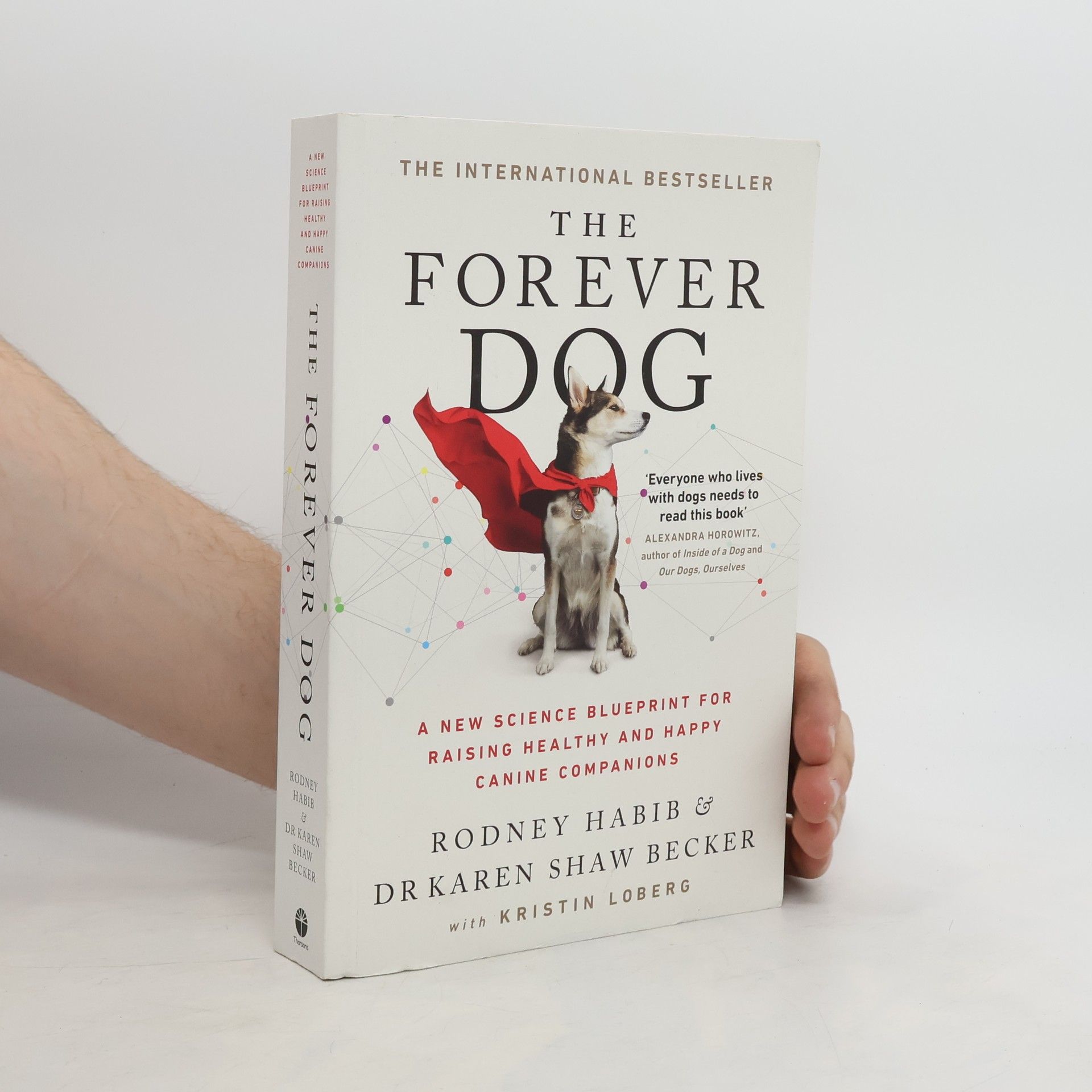 Rodney Habib The Forever Dog