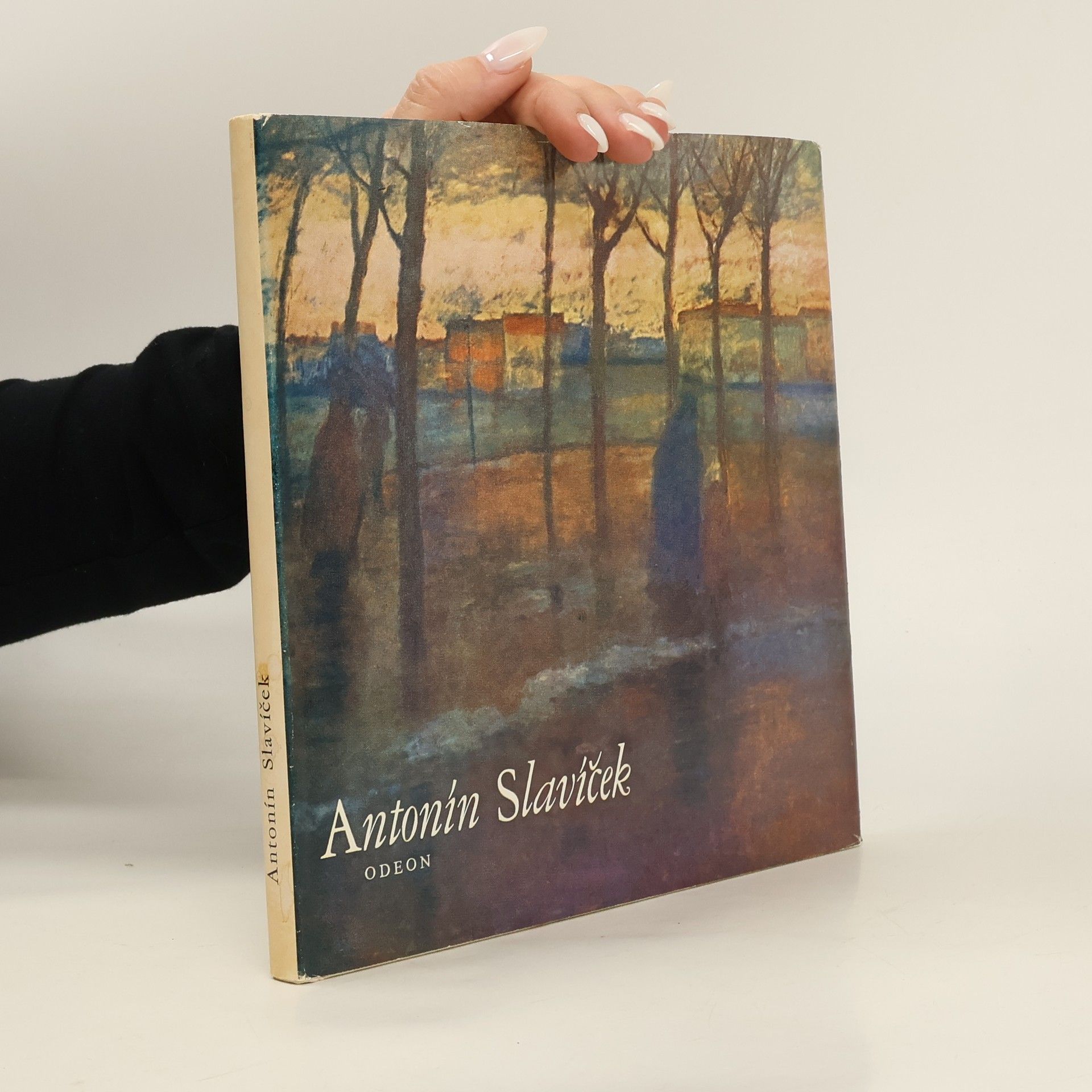 Jan Marius Tomeš Antonín Slavíček