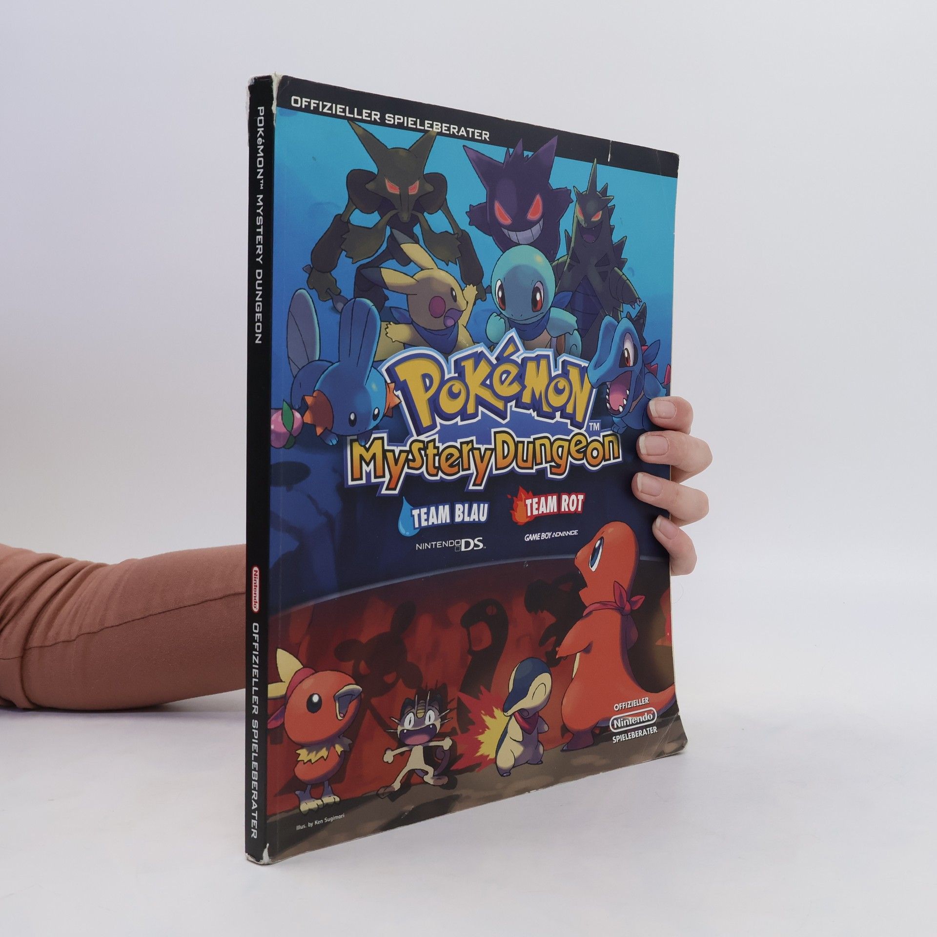 Autores varios Pokémon Mystery Dungeon. Team Blau, Team Rot