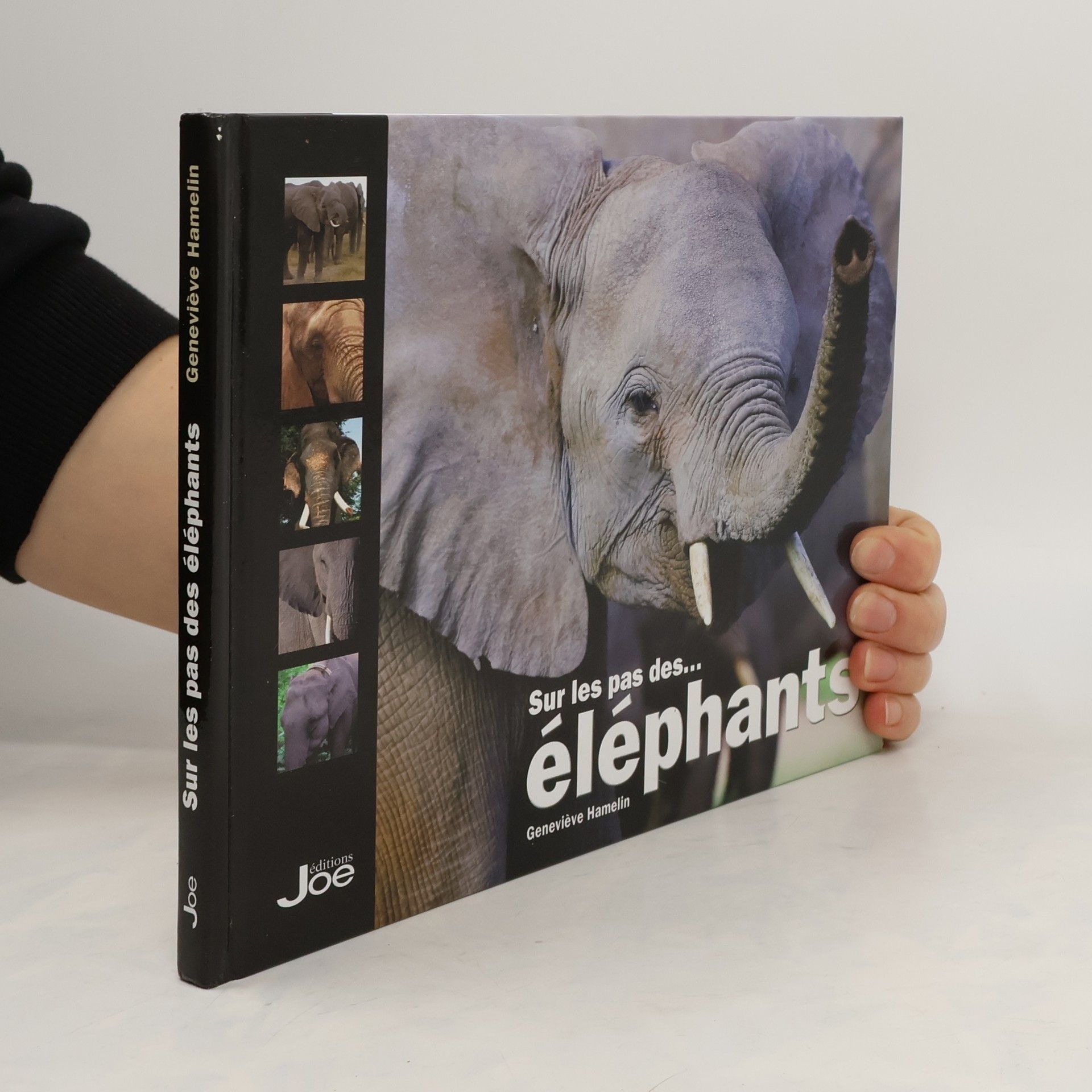 Geneviève Hamelin Sur les pas des éléphants
