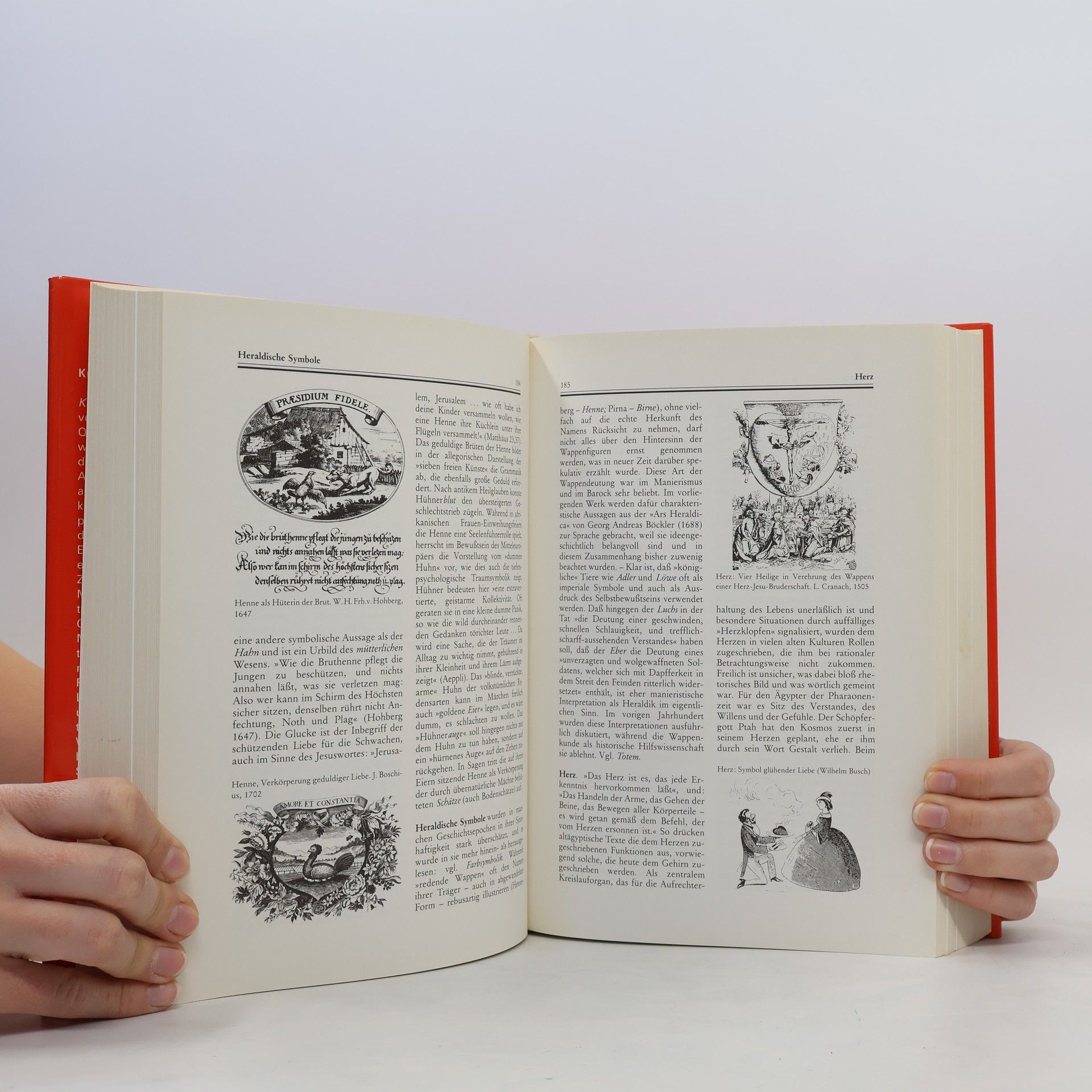 Hans Biedermann Knaurs Lexikon der Symbole