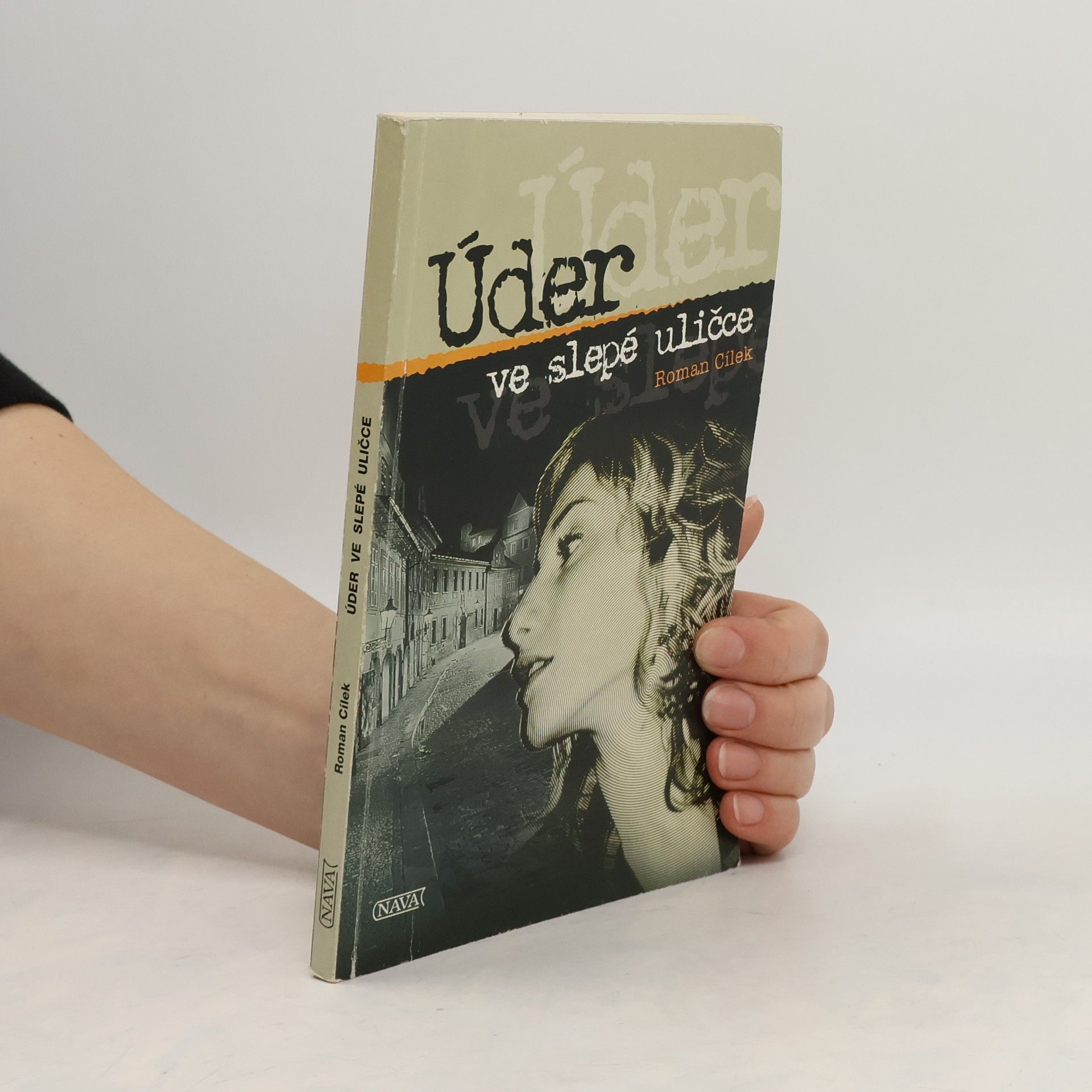 Roman Cílek Úder ve slepé uličce