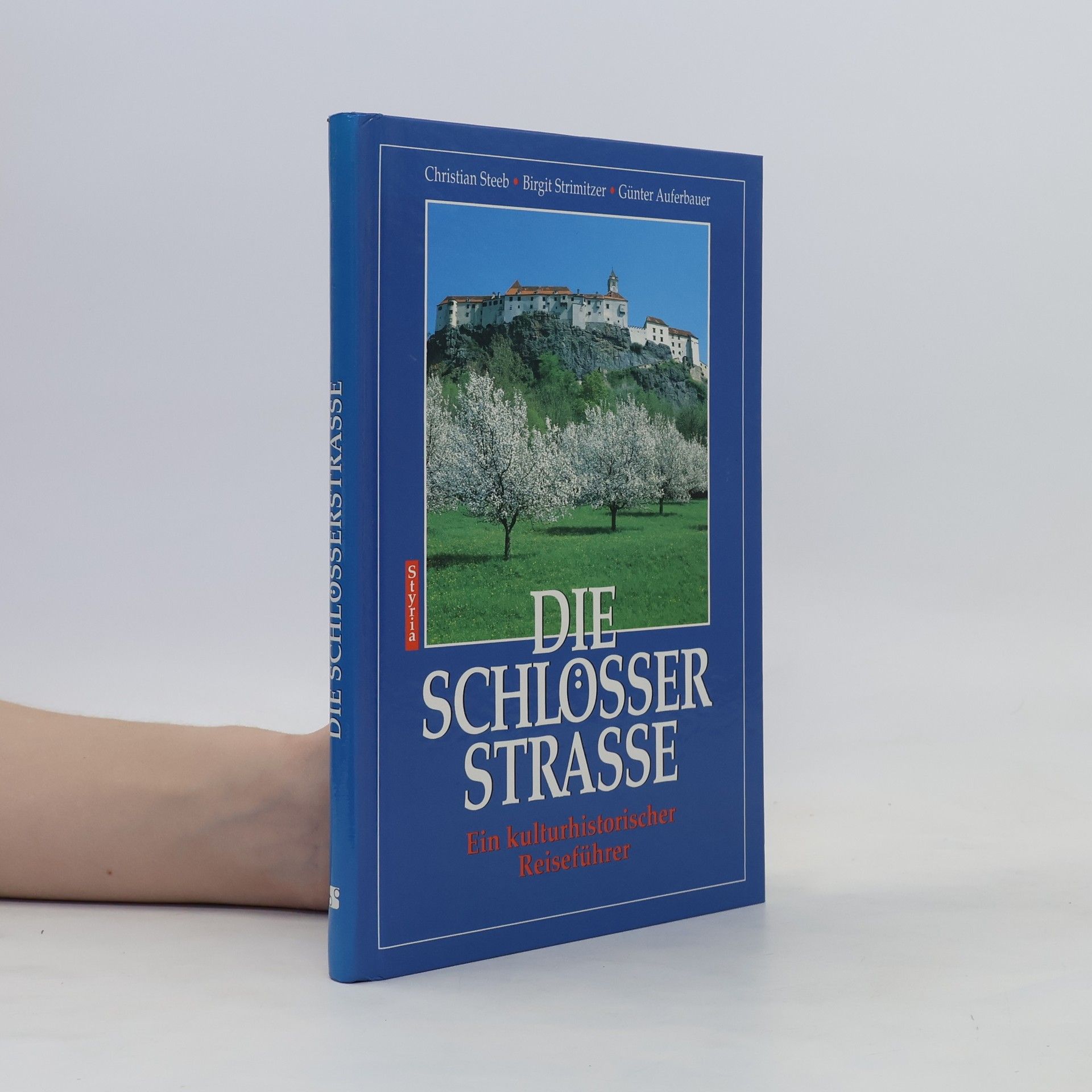 Christian Steeb Die Schlösserstrasse