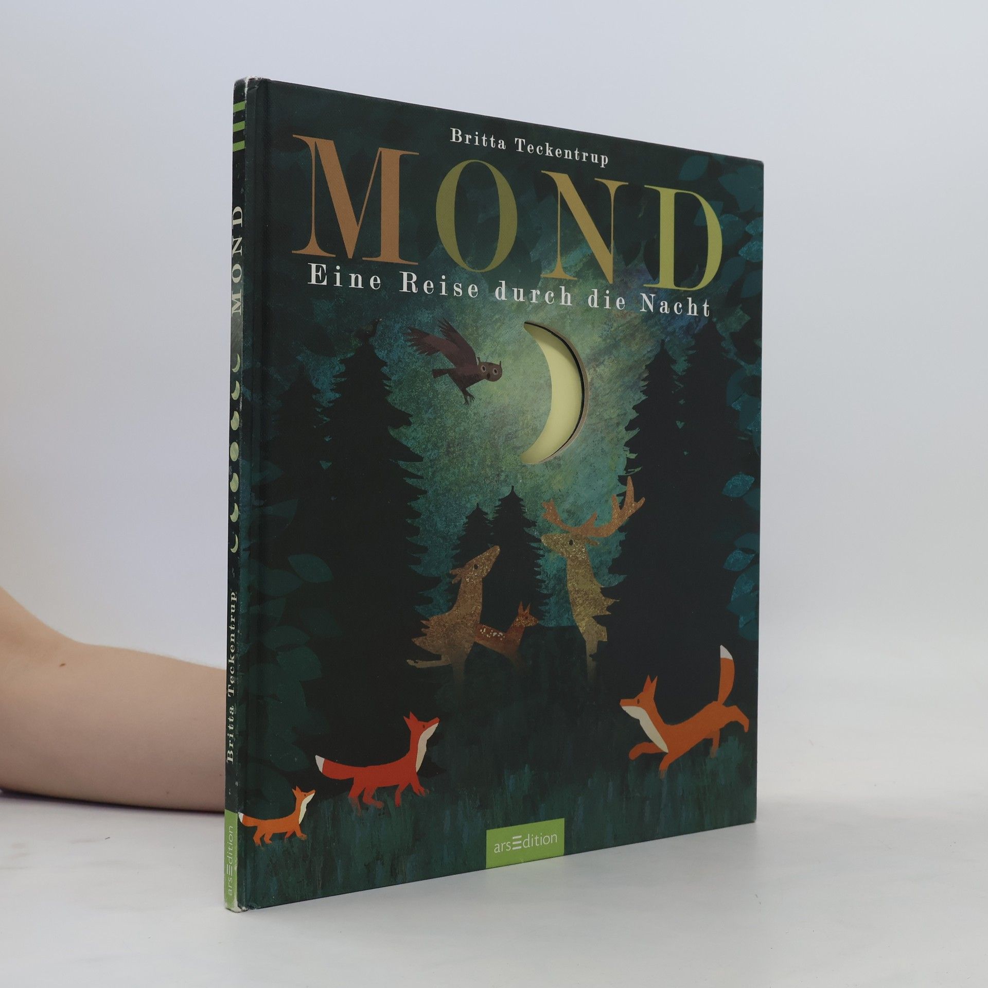 Britta Teckentrup Mond. Eine Reise durch die Nacht