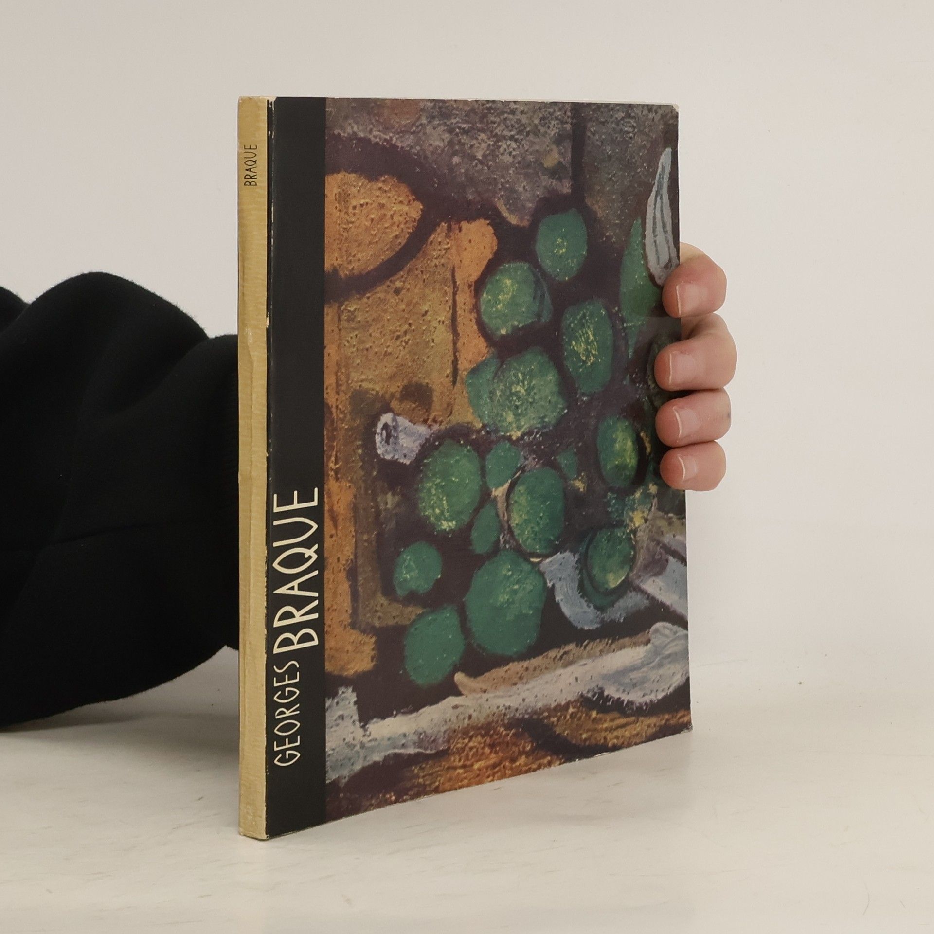 Jiří Padrta Georges Braque