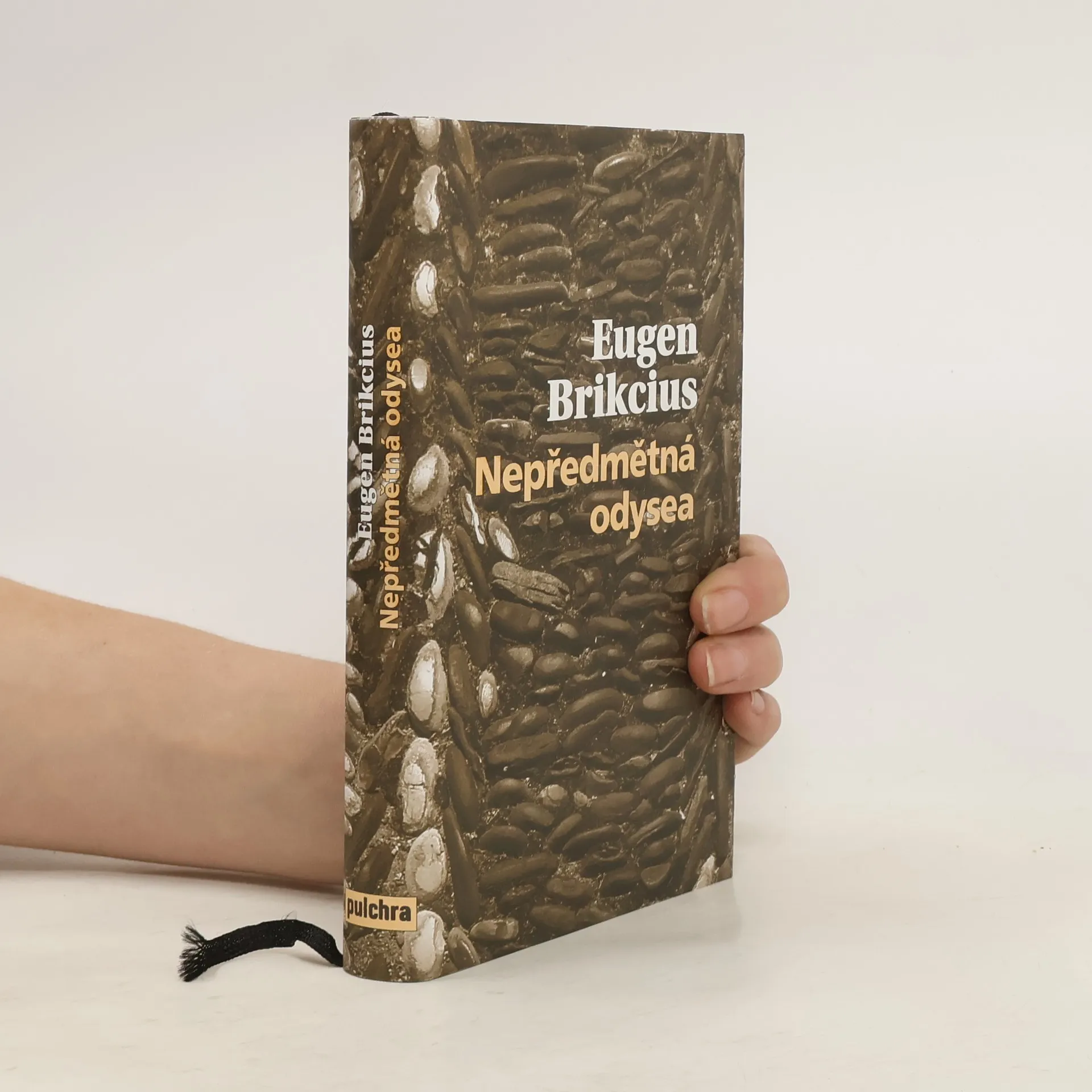 Nepředmětná Odyssea | Book | Hardcover | Eugen Brikcius | CS