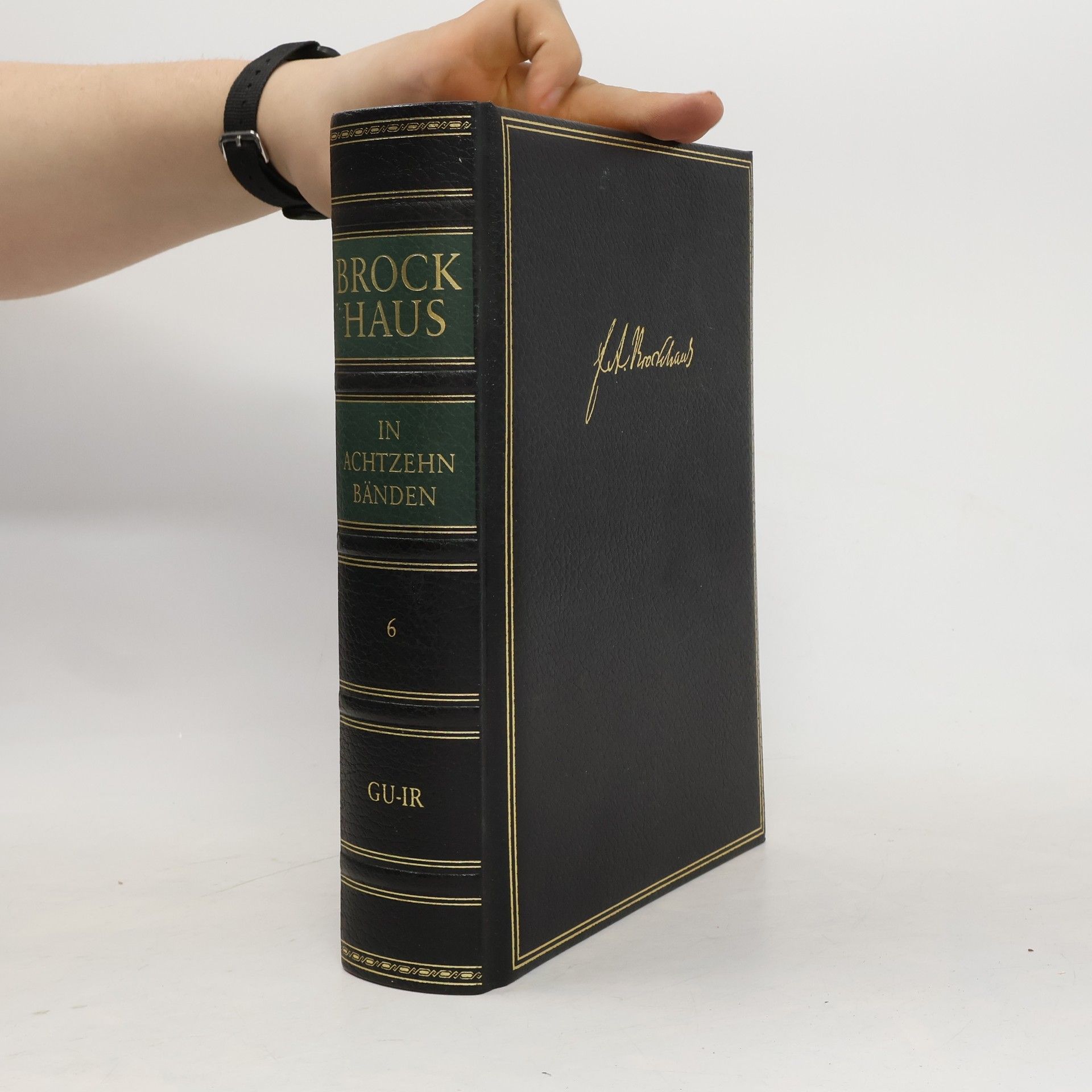 F. A. Brockhaus Brockhaus deutsches Wörterbuch 6