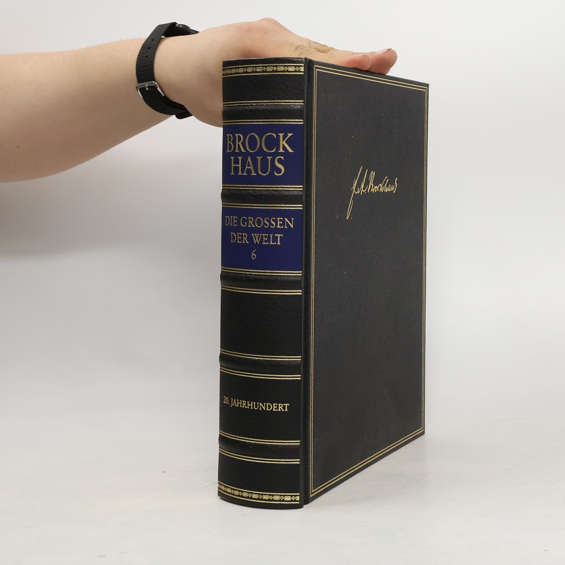 Autorenkollektiv Brockhaus. Die grossen der Welt 6