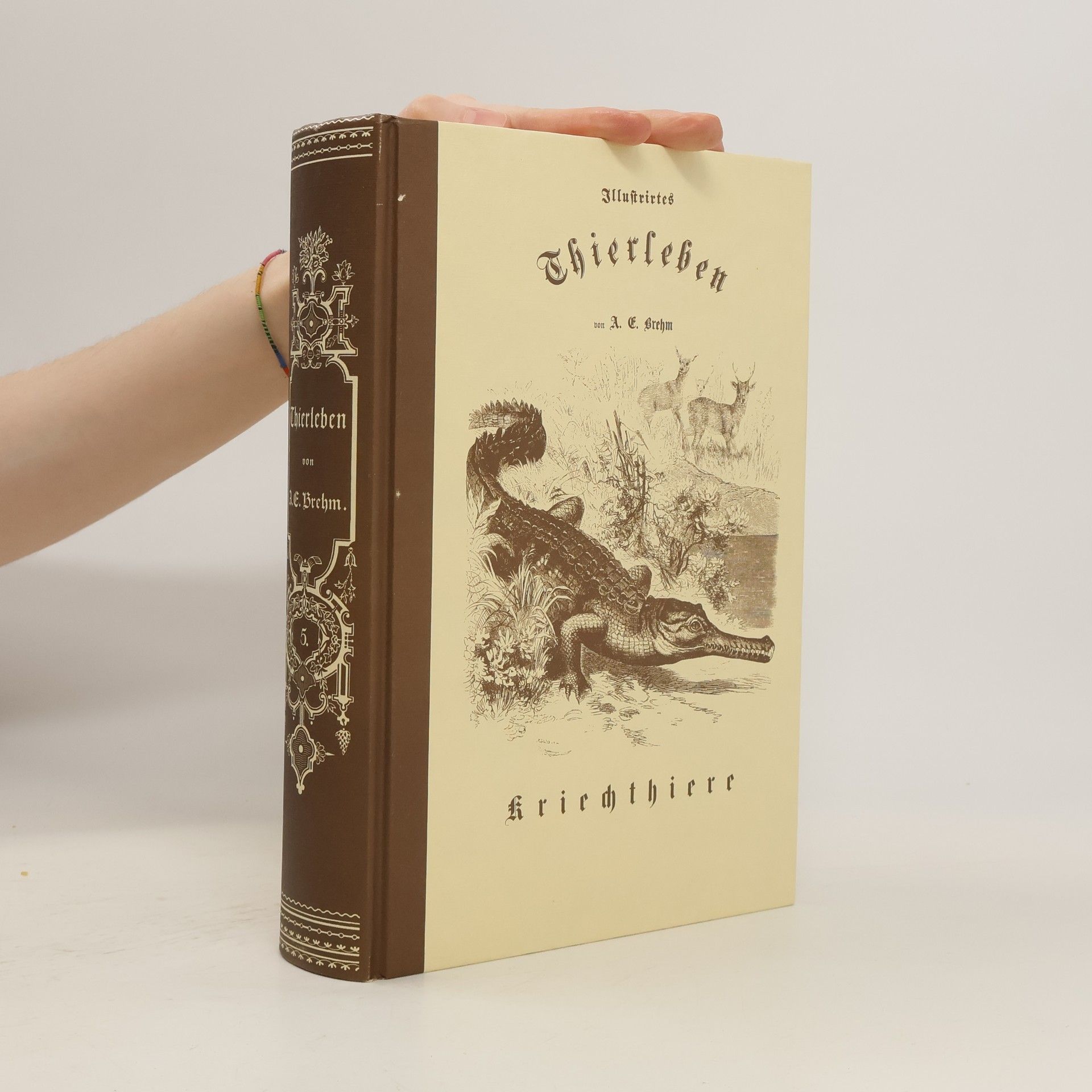 kolektiv Illustrirtes Thierleben V