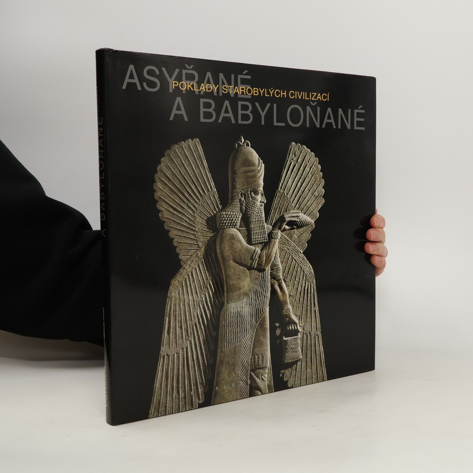 Alfredo Rizza Asyřané a Babyloňané - Poklady starobylých civilizací