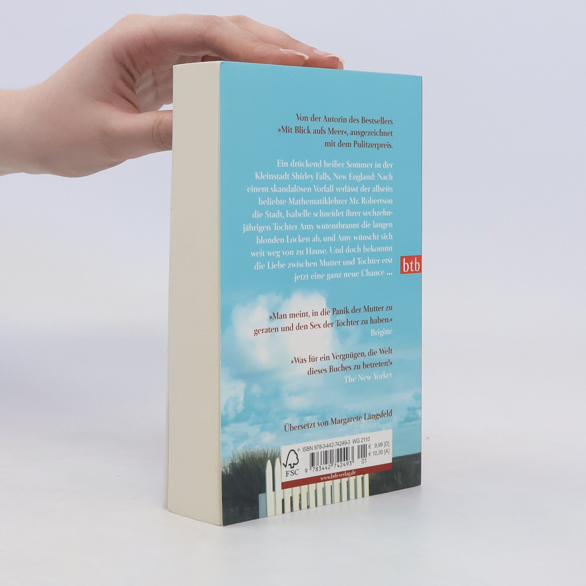 Elizabeth Strout Amy & Isabelle