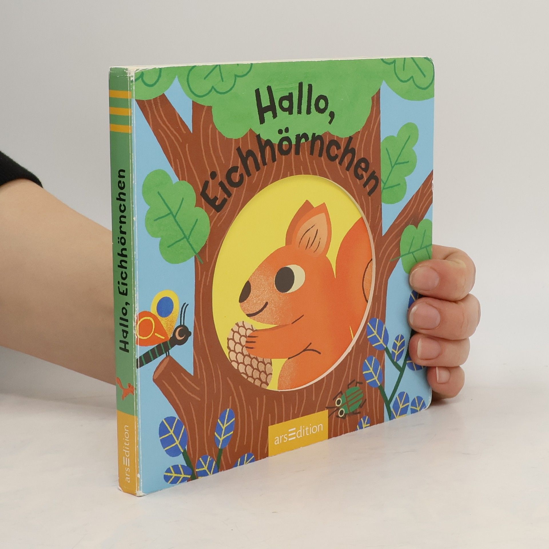 Magali Attiogbé Hallo, Eichhörnchen