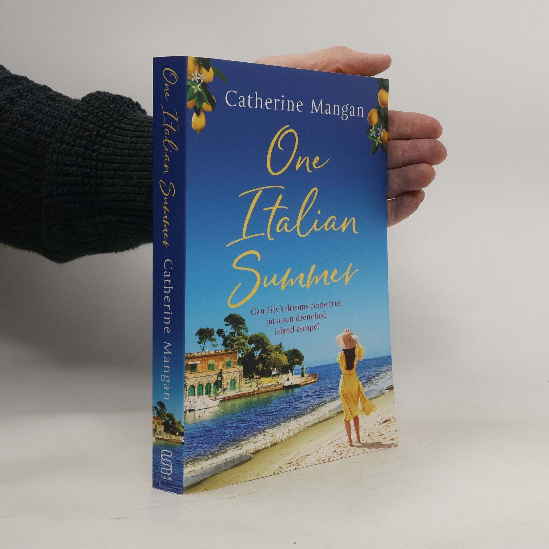 Robin Miller One Italian Summer