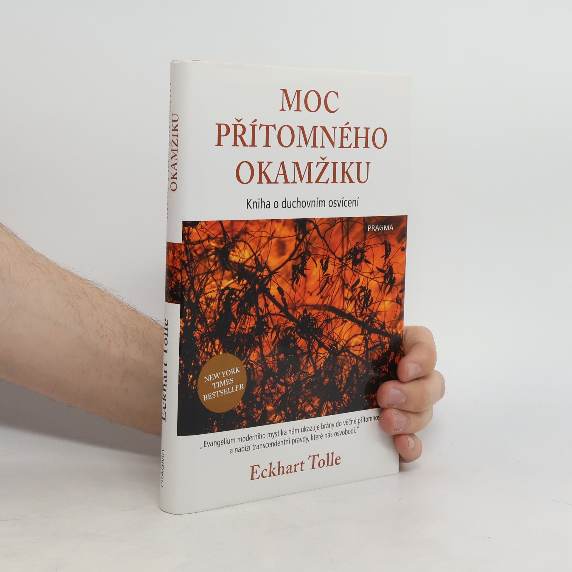 Eckhart Tolle Moc přítomného okamžiku