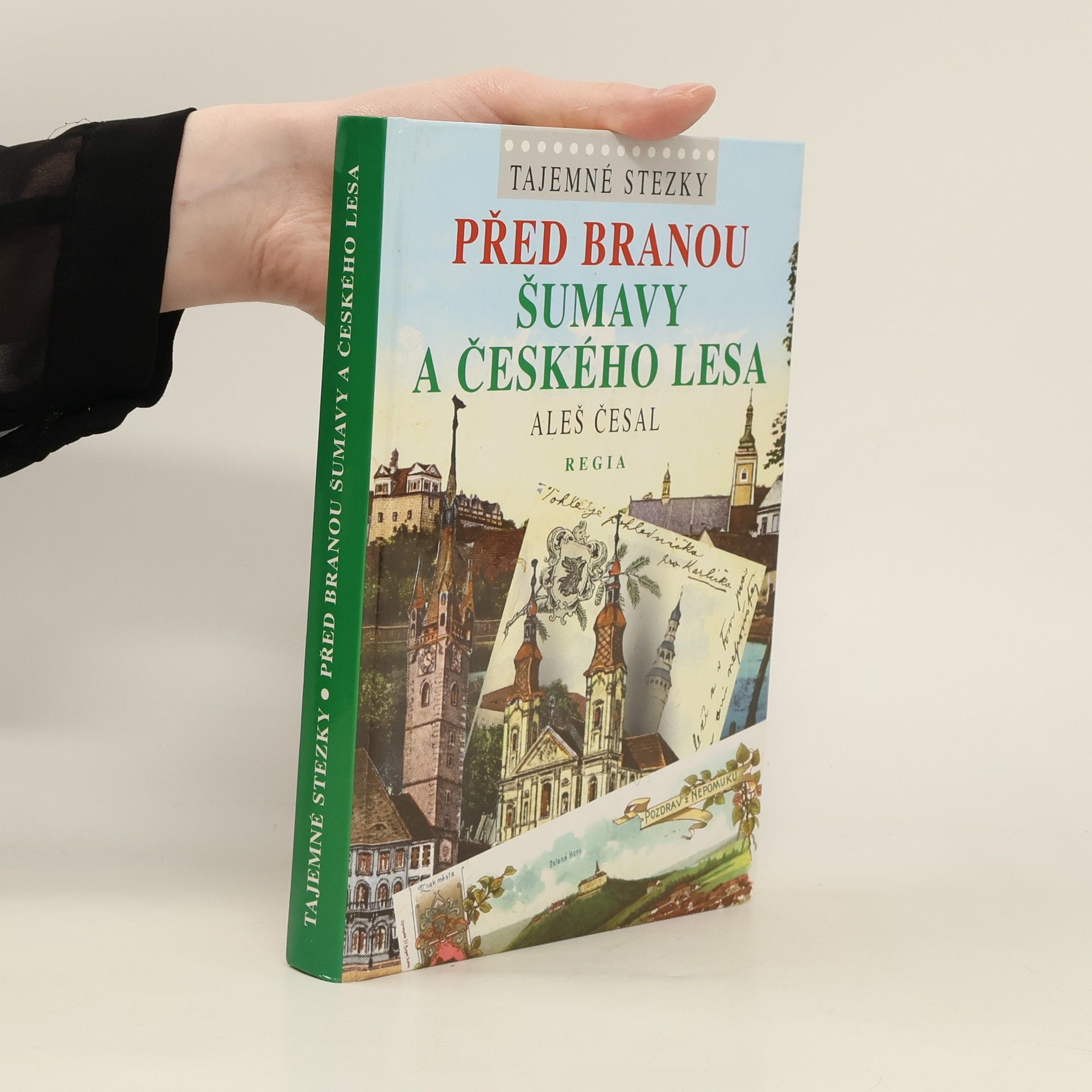 Aleš Česal Před branou Šumavy a Českého lesa