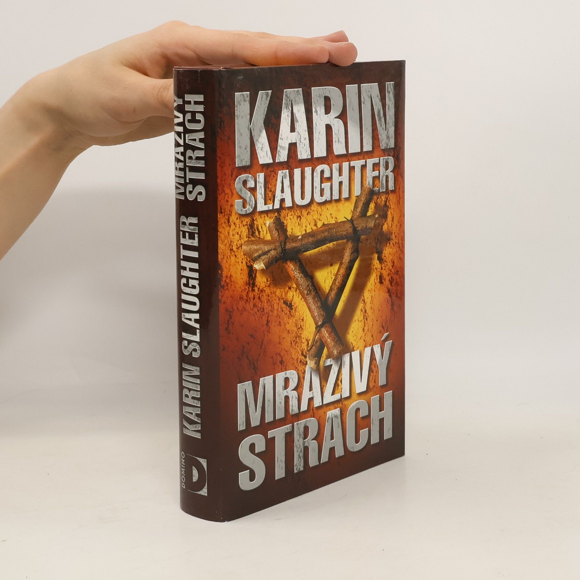 Karin Slaughter Mrazivý strach