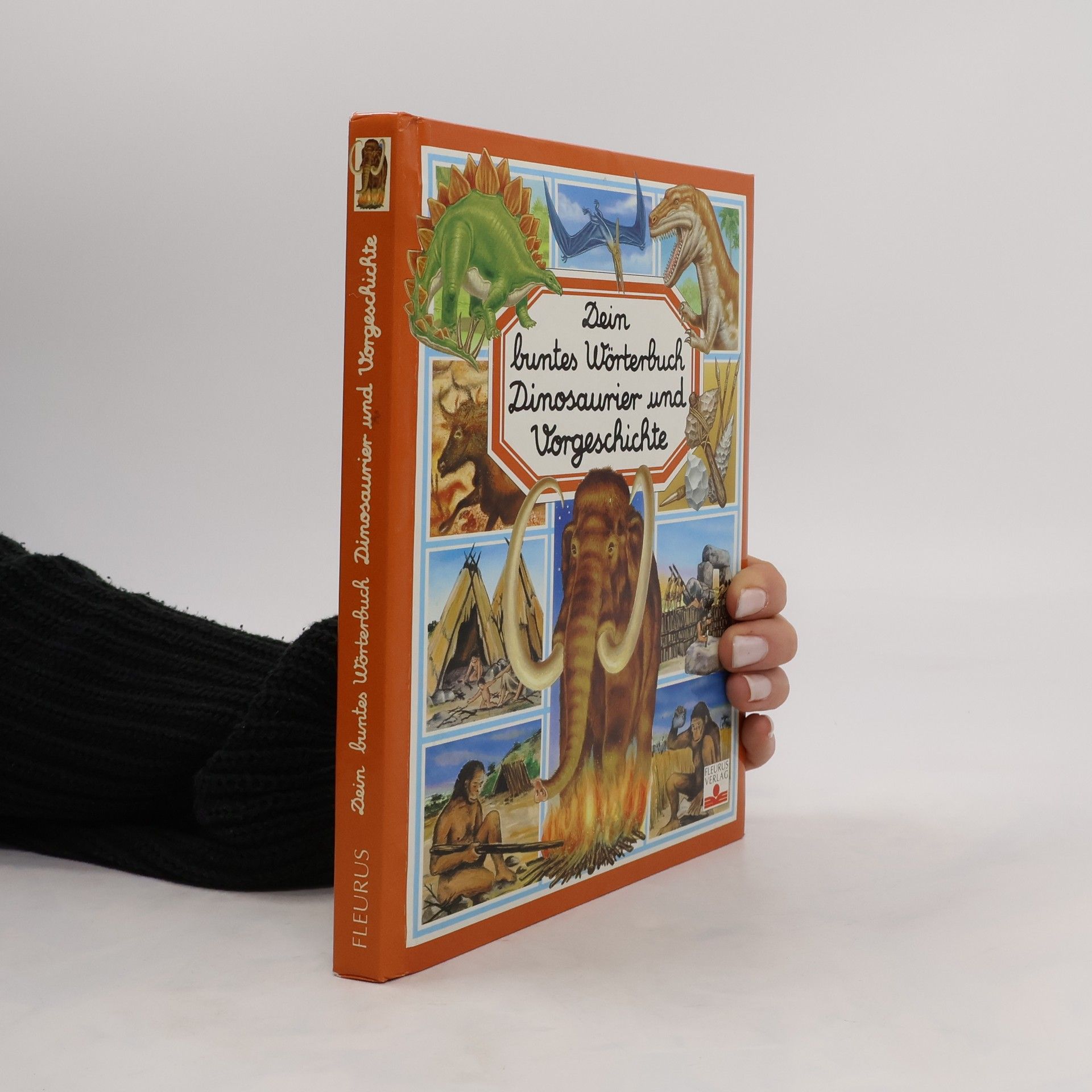 Emilie Beaumont Dein buntes Wörterbuch Dinosaurier und Vorgeschichte