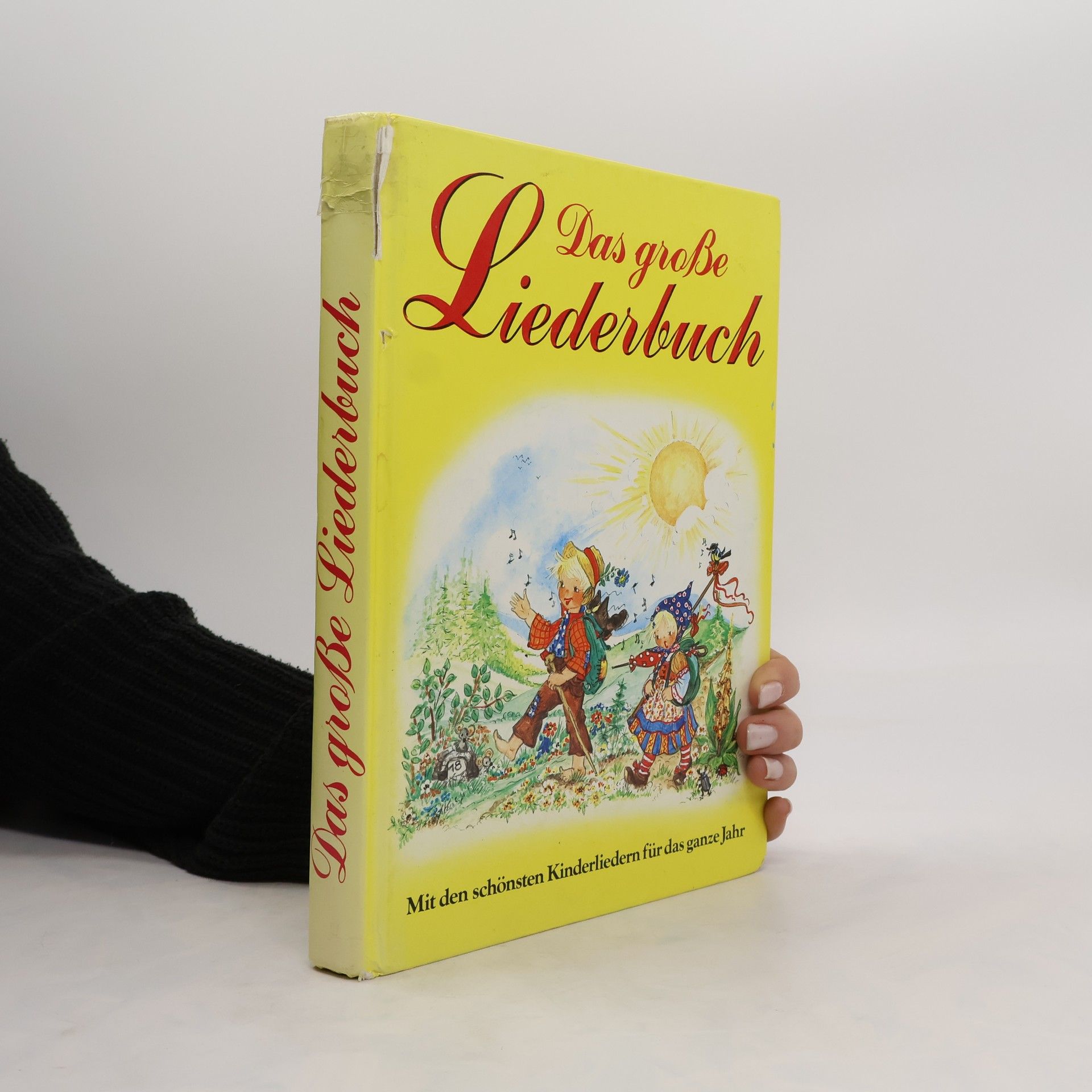 Autorenkollektiv Das große Liederbuch