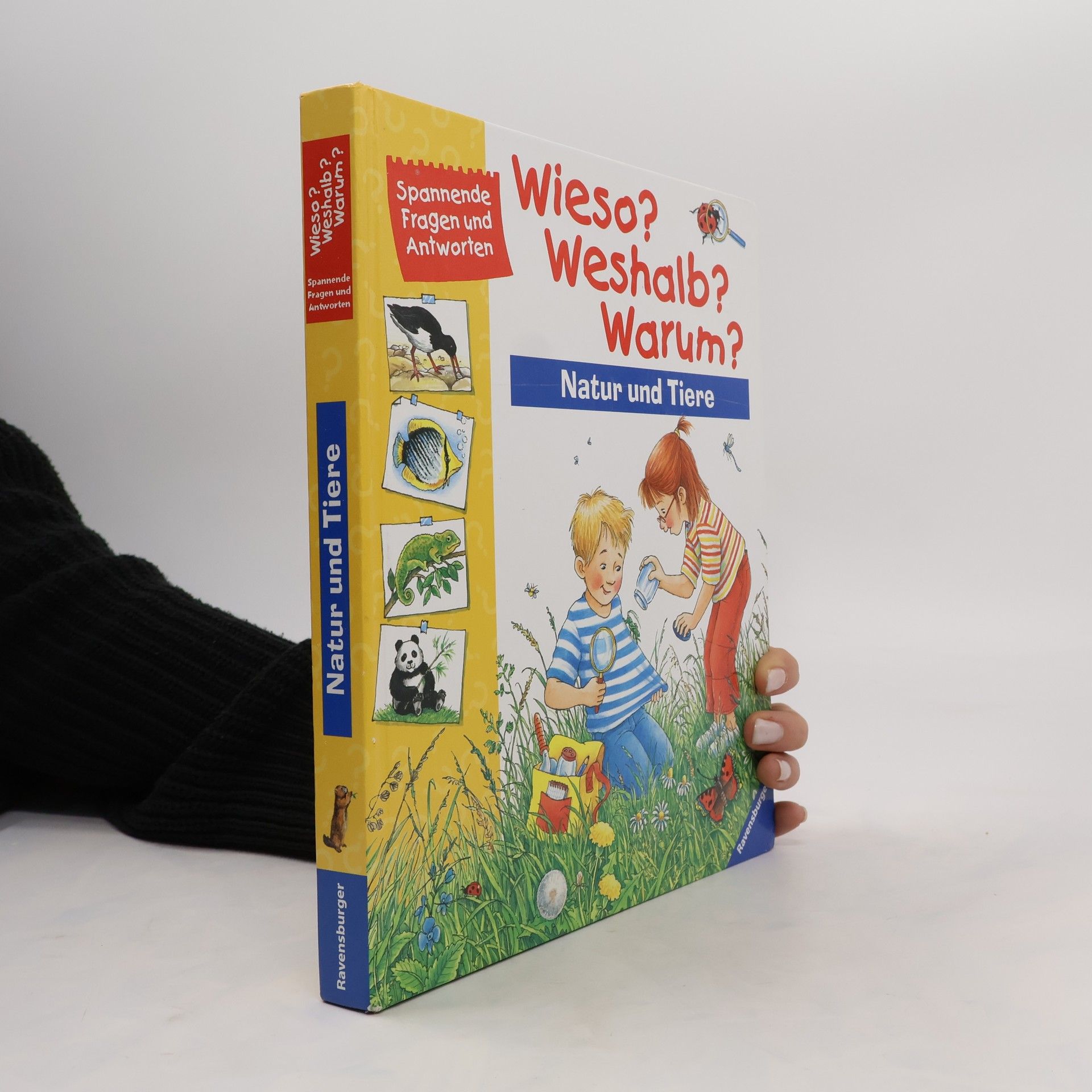 Sophie von Lenthe Wieso? Weshalb? Warum? Natur und Tiere.