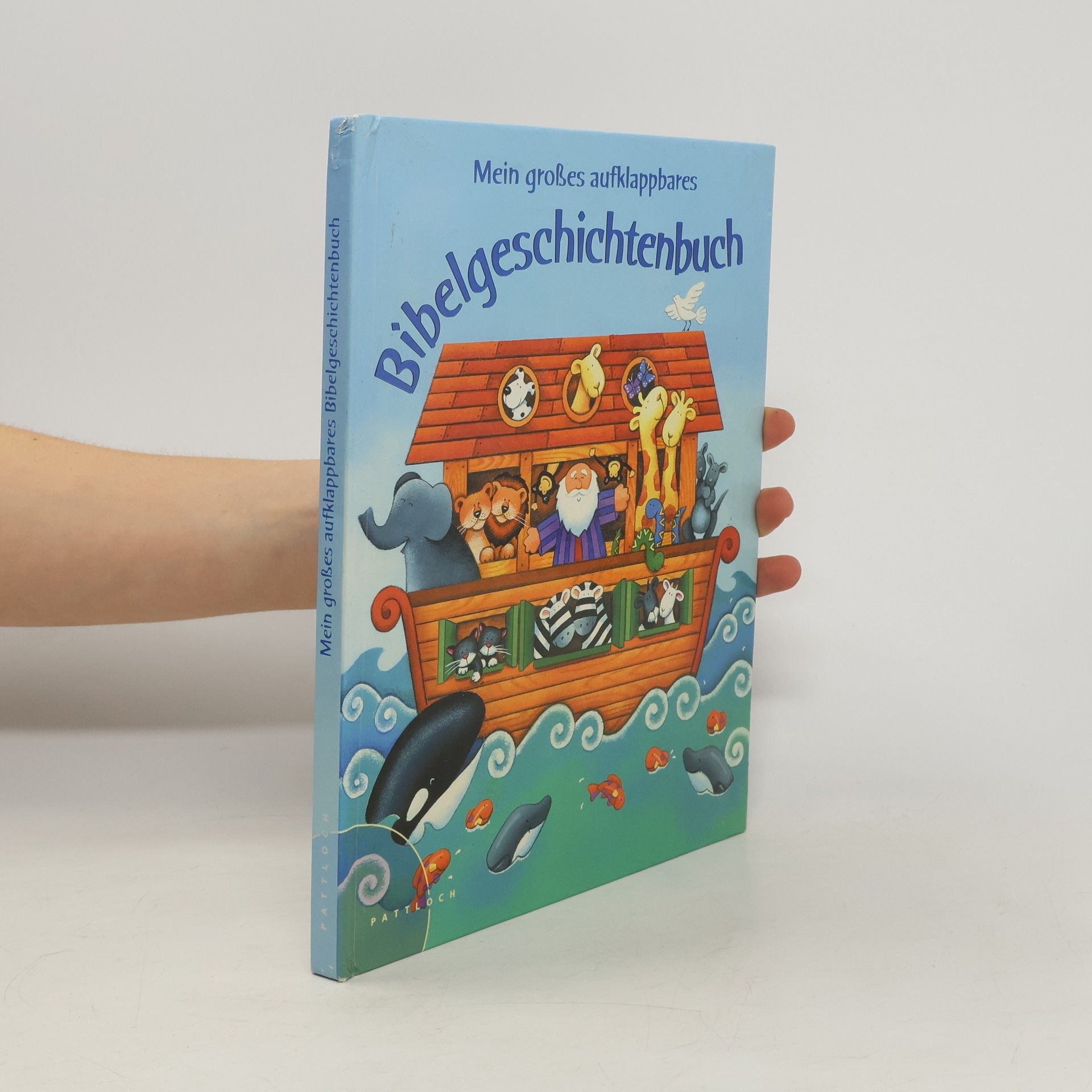 Allia Zobel Nolan Mein großes aufklappbares Bibelgeschichtenbuch