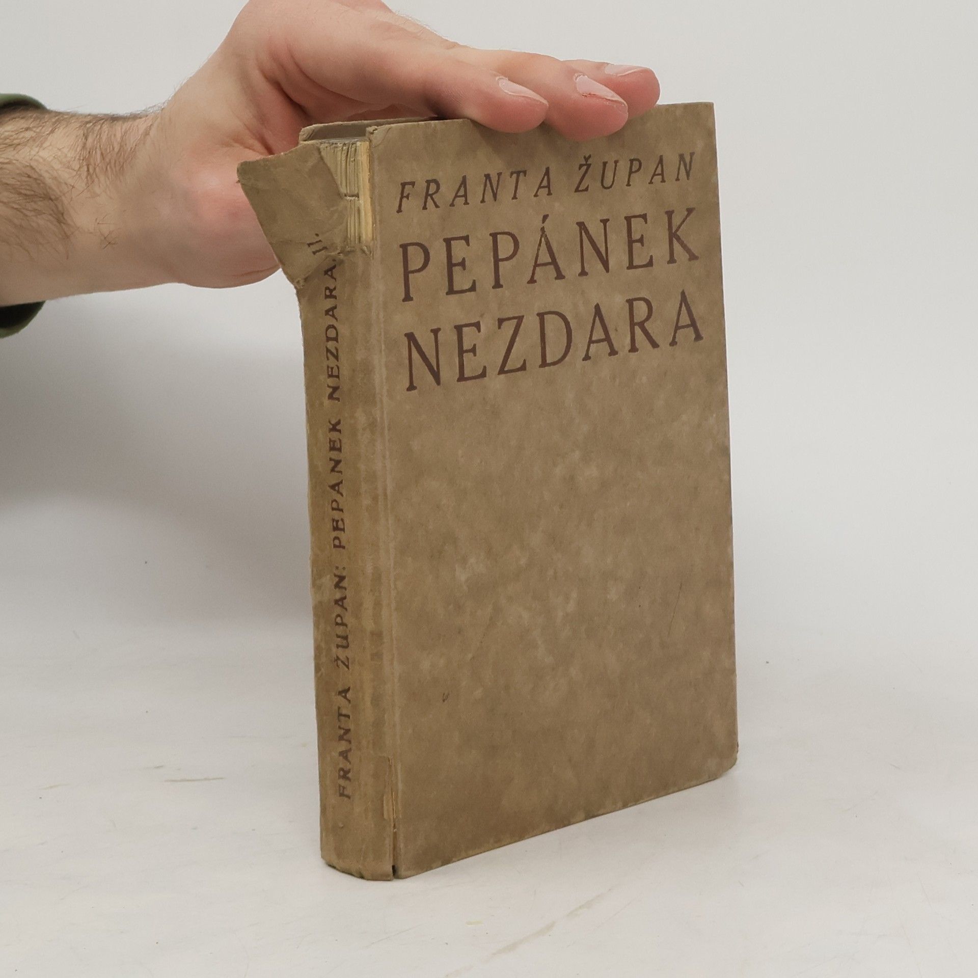 Franta Župan Pepánek Nezdara 2: Školákem