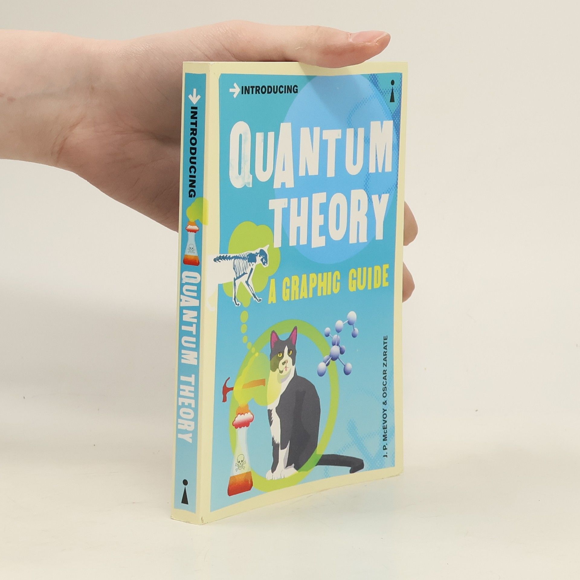 Joseph P. McEvoy Quantum theory