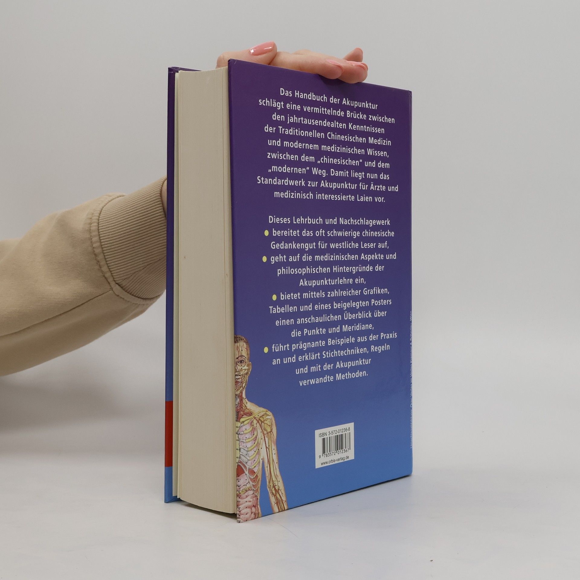 Gertrude Kubiena Handbuch der Akupunktur