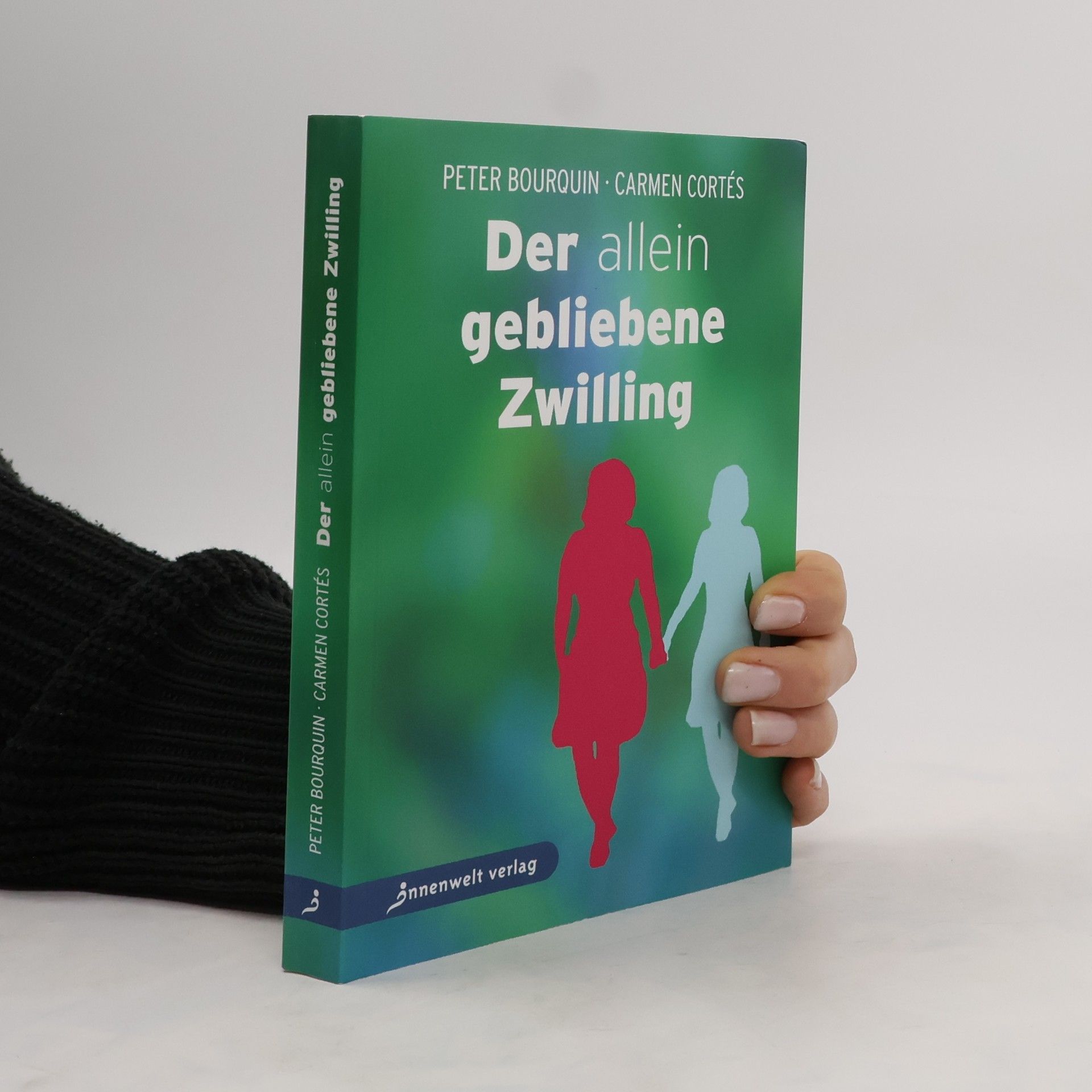 Peter Bourquin Der allein gebliebene Zwilling