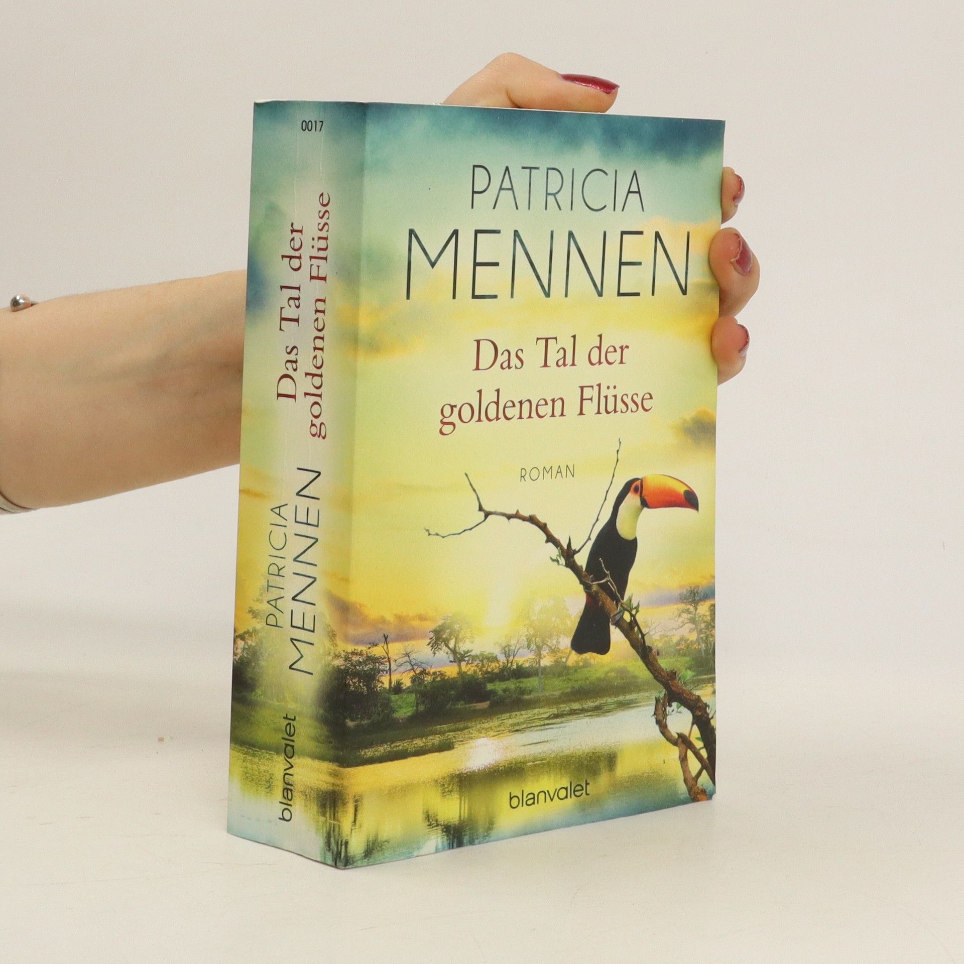 Patricia Mennen Das Tal der goldenen Flüsse