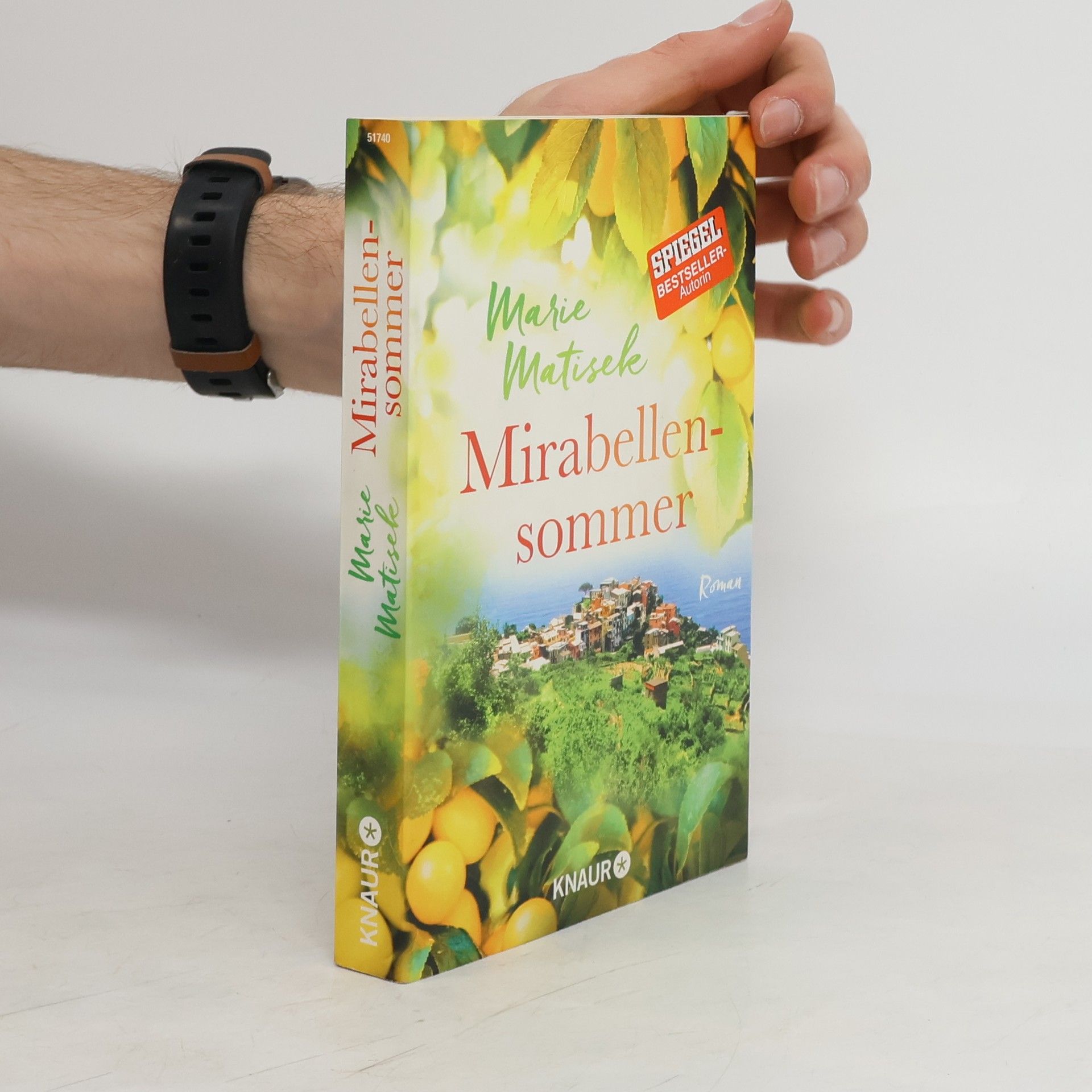 Marie Matisek Mirabellensommer