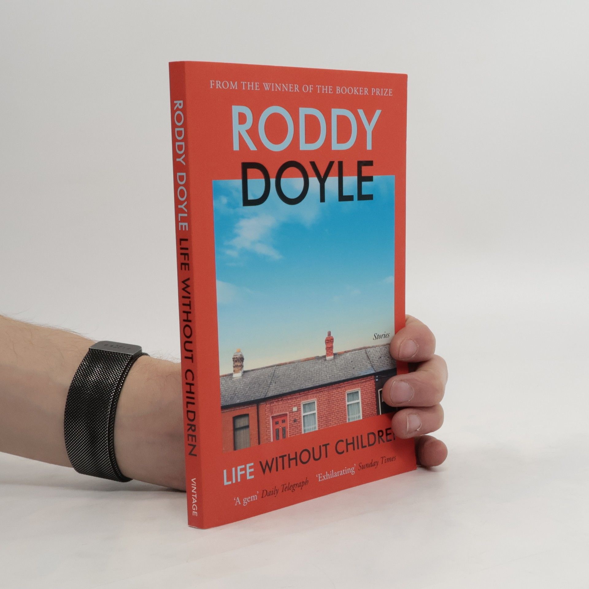 Roddy Doyle Life Without Children