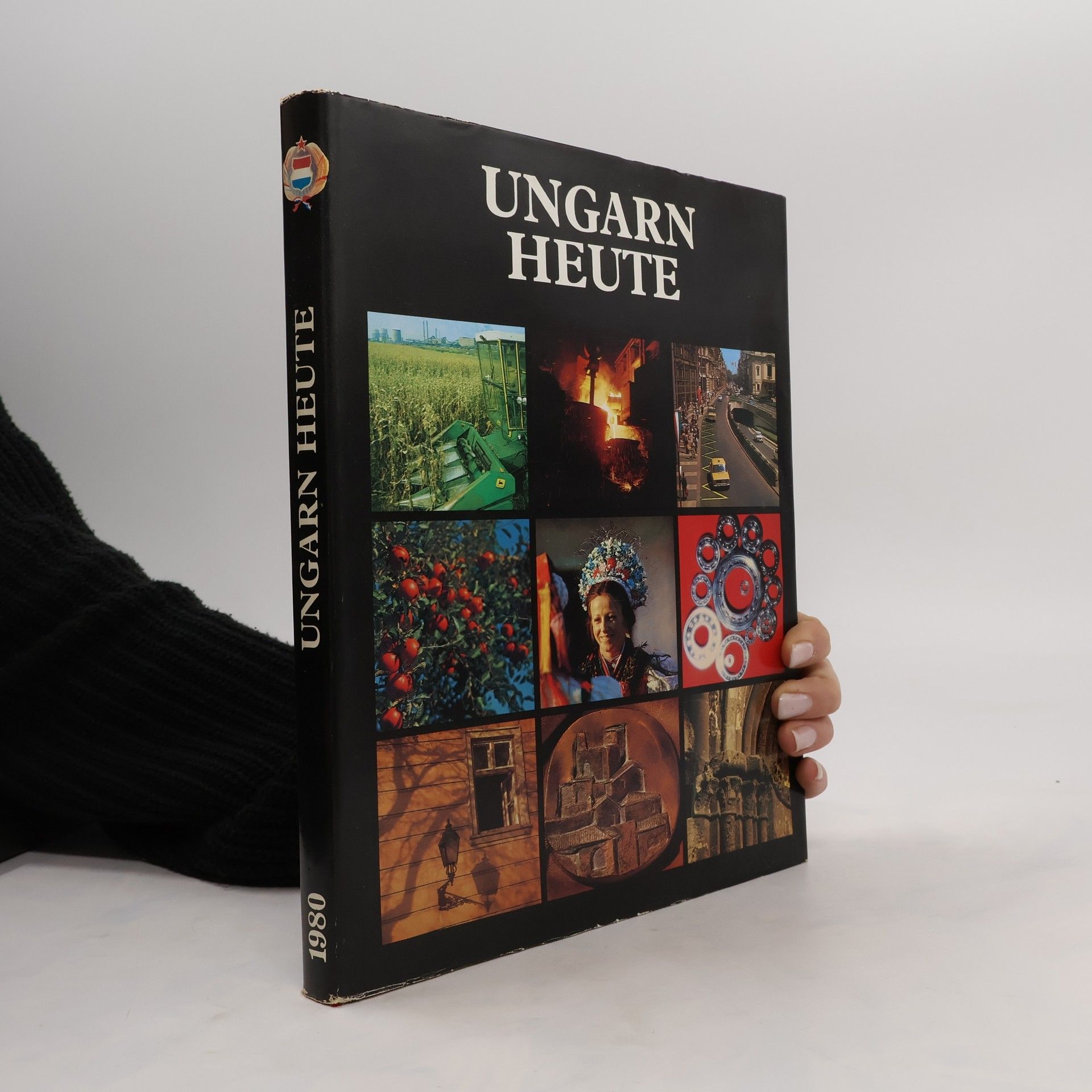 Collectif d'auteurs Ungarn Heute