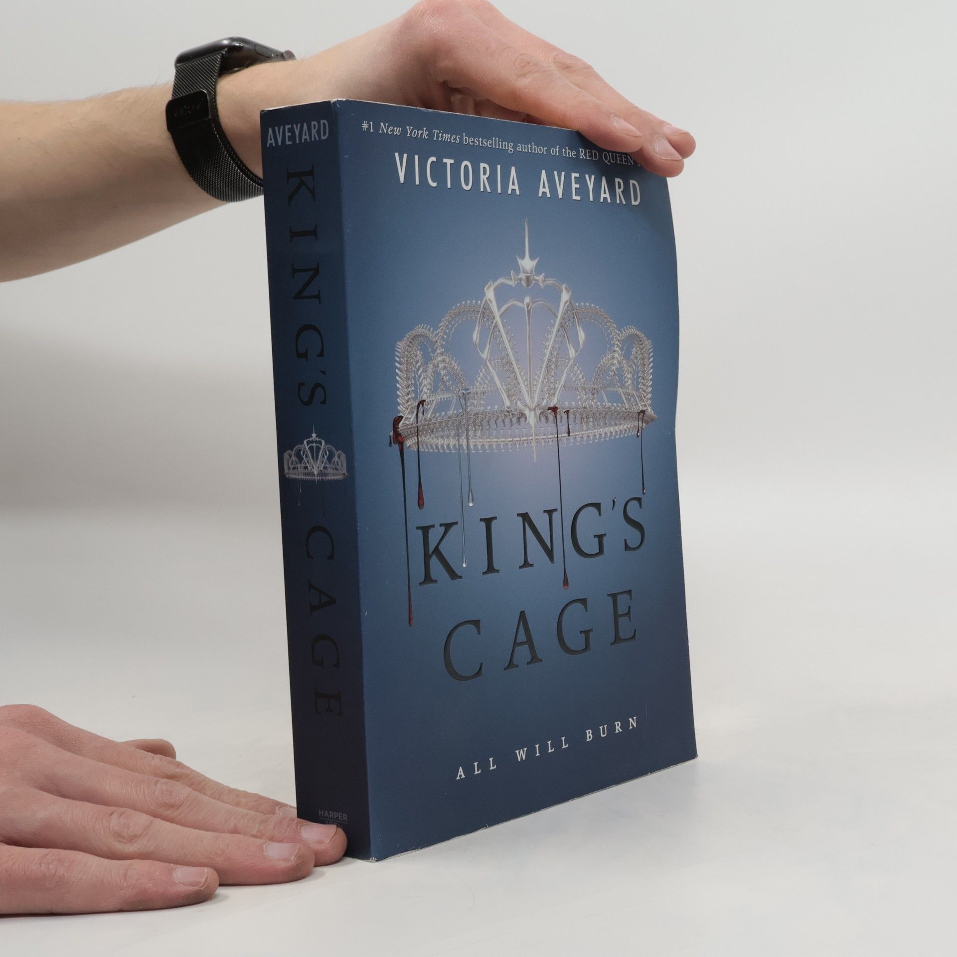 Victoria Aveyardová King's Cage