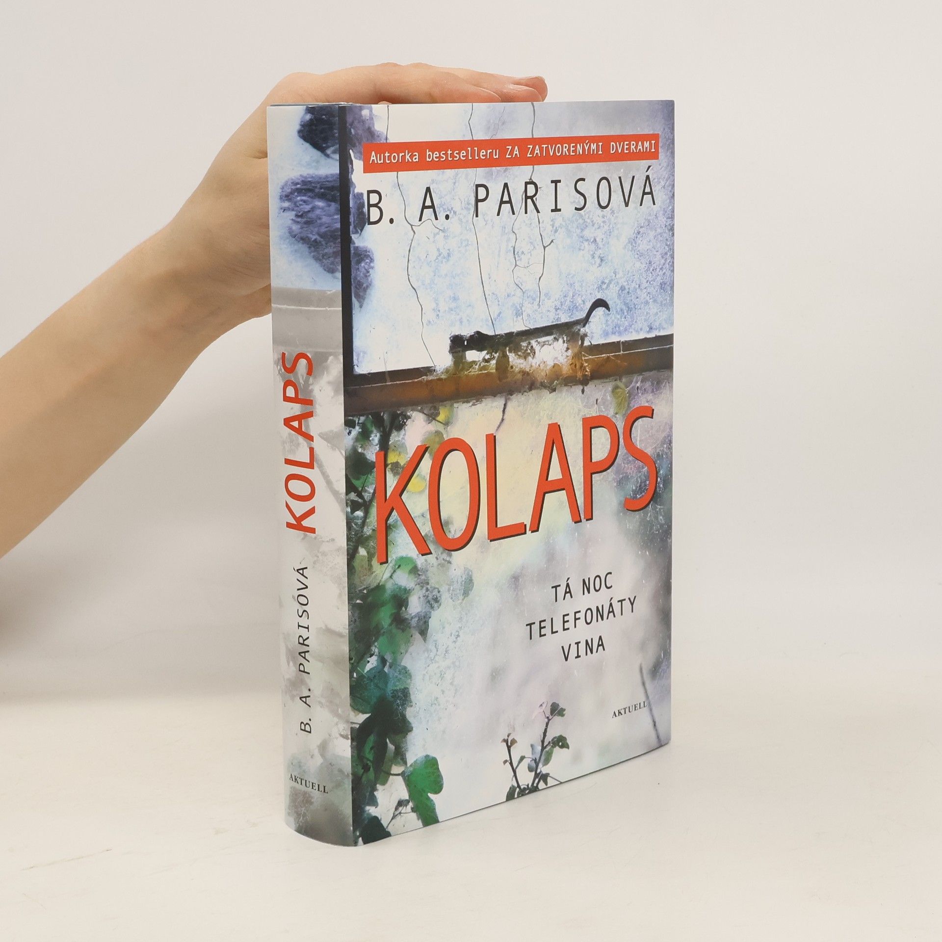 B.A. Paris Kolaps