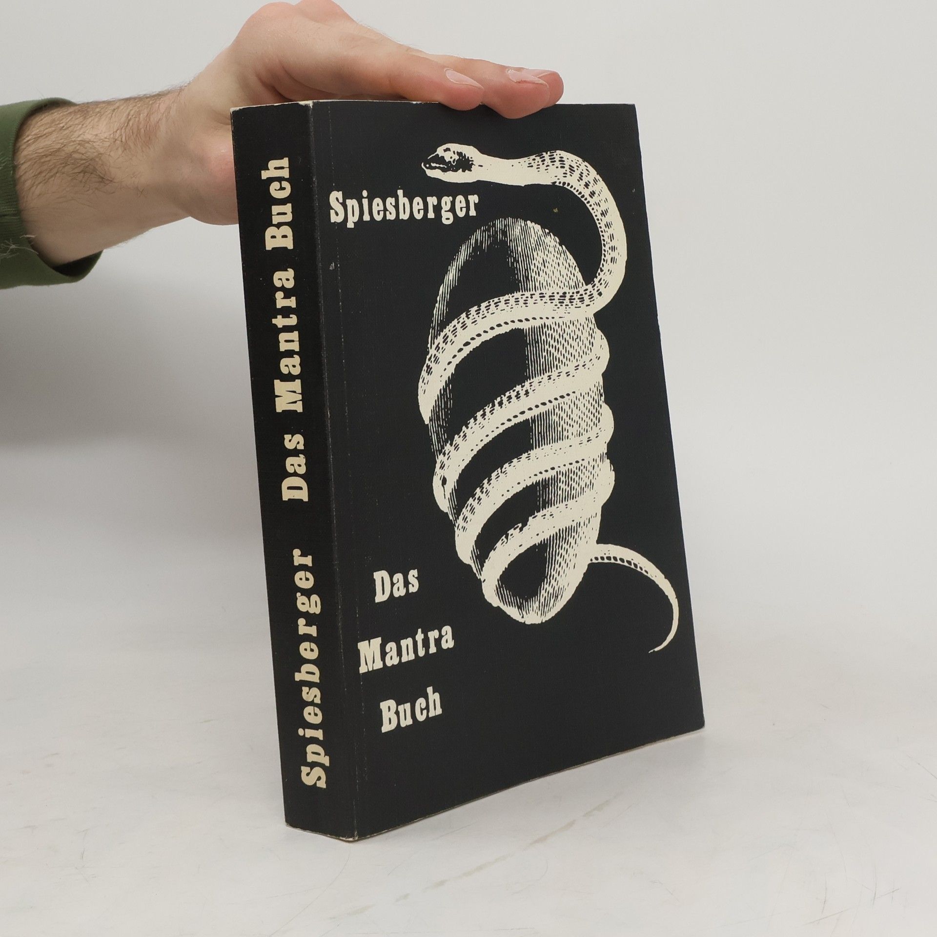 Karl Spiesberger Das Mantra Buch