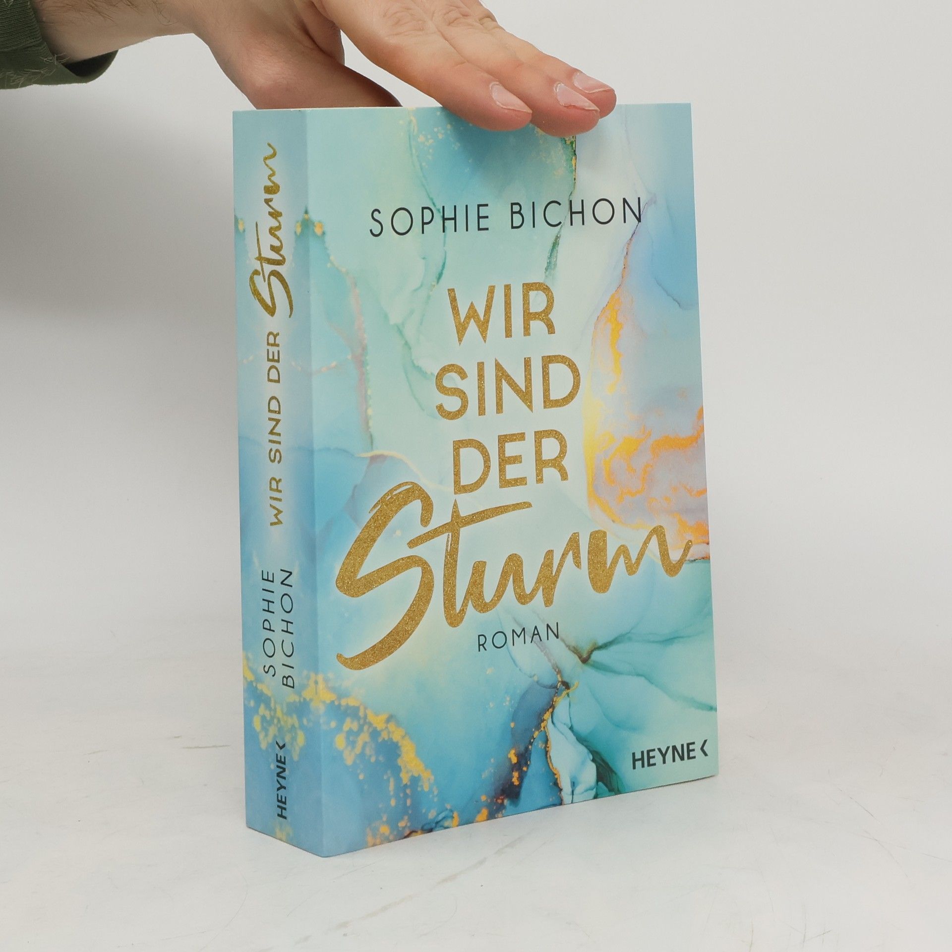 Sophie Bichon Wir sind der Sturm