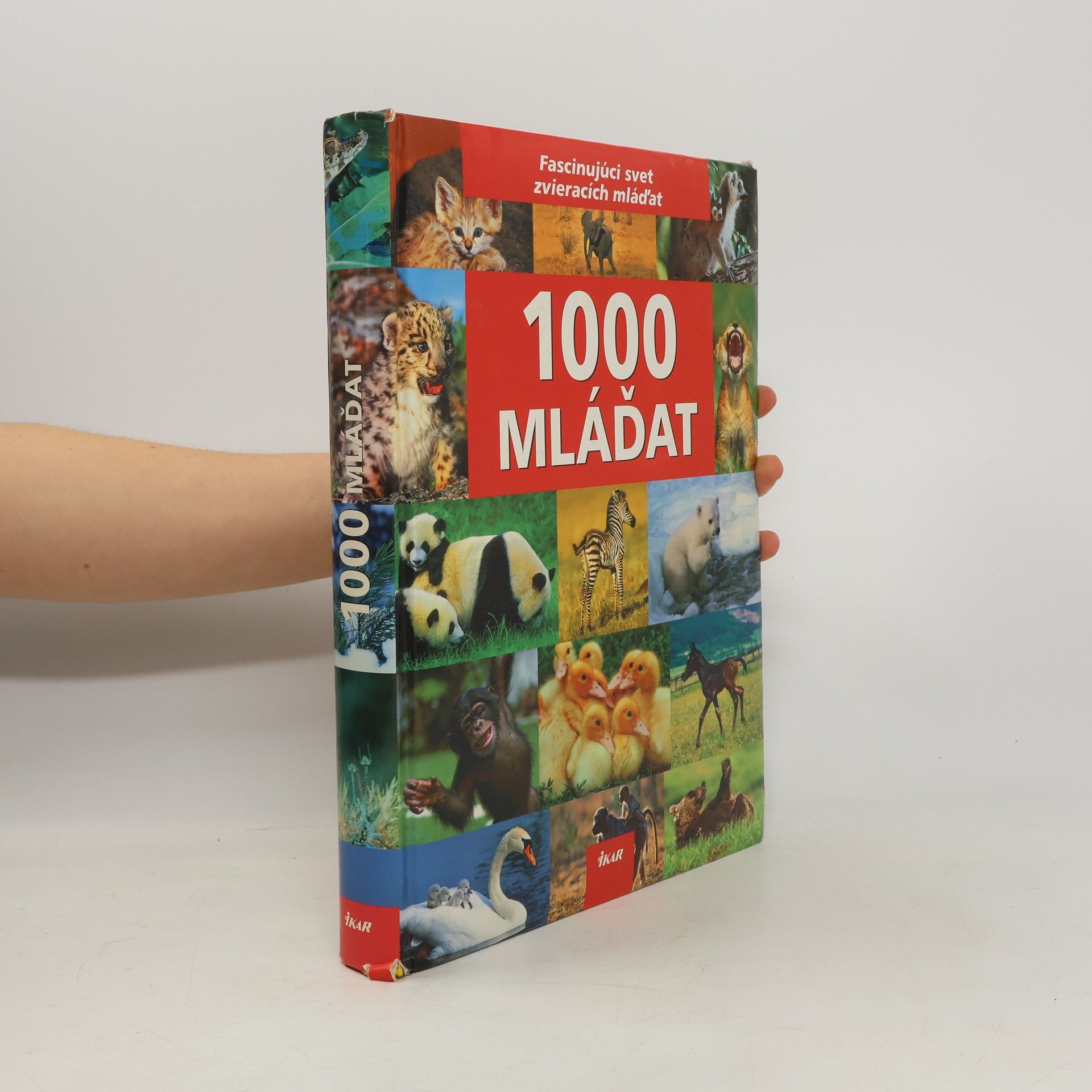 Ulrike Schöber 1000 mláďat