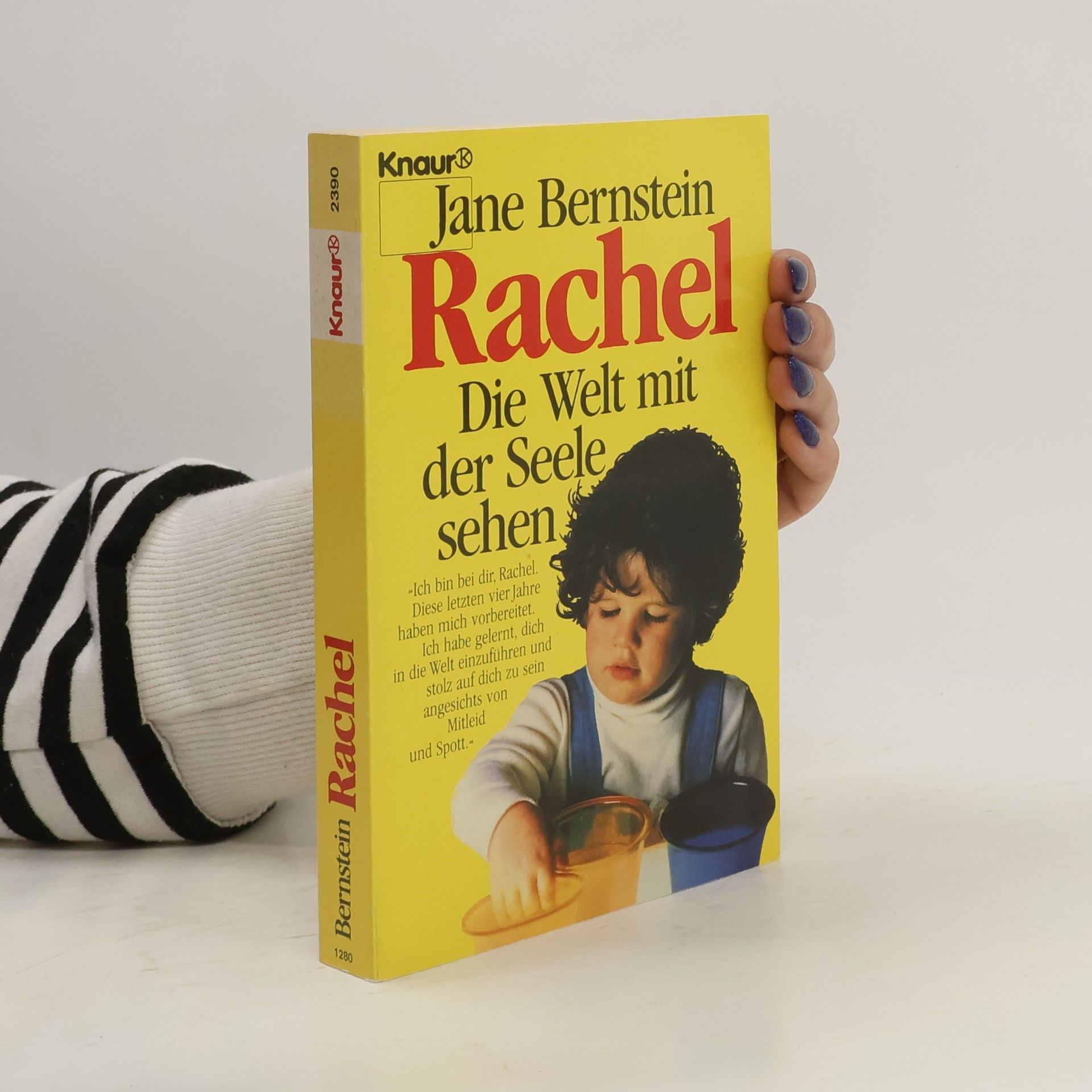 Jane Bernstein Rachel - die Welt mit der Seele sehen